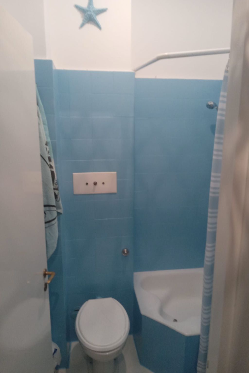 Seestern-Image-tags.info