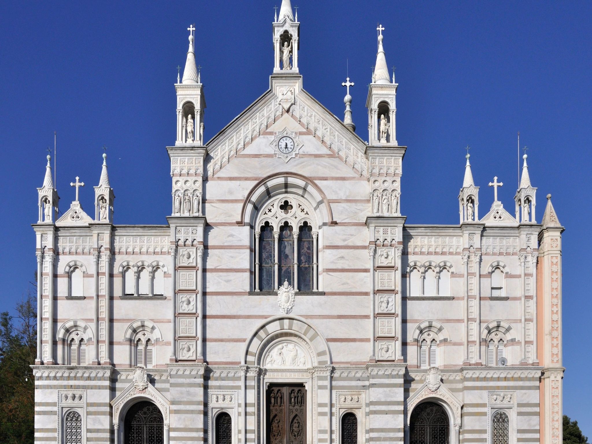 Seestern-Image-tags.info