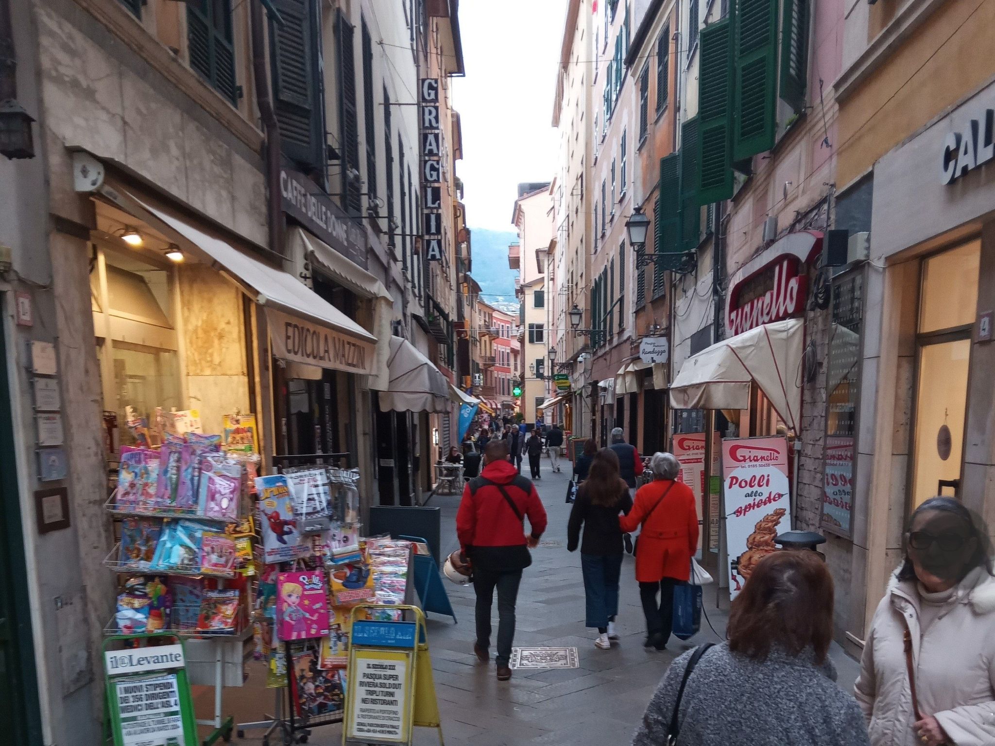 Seestern-Image-tags.info