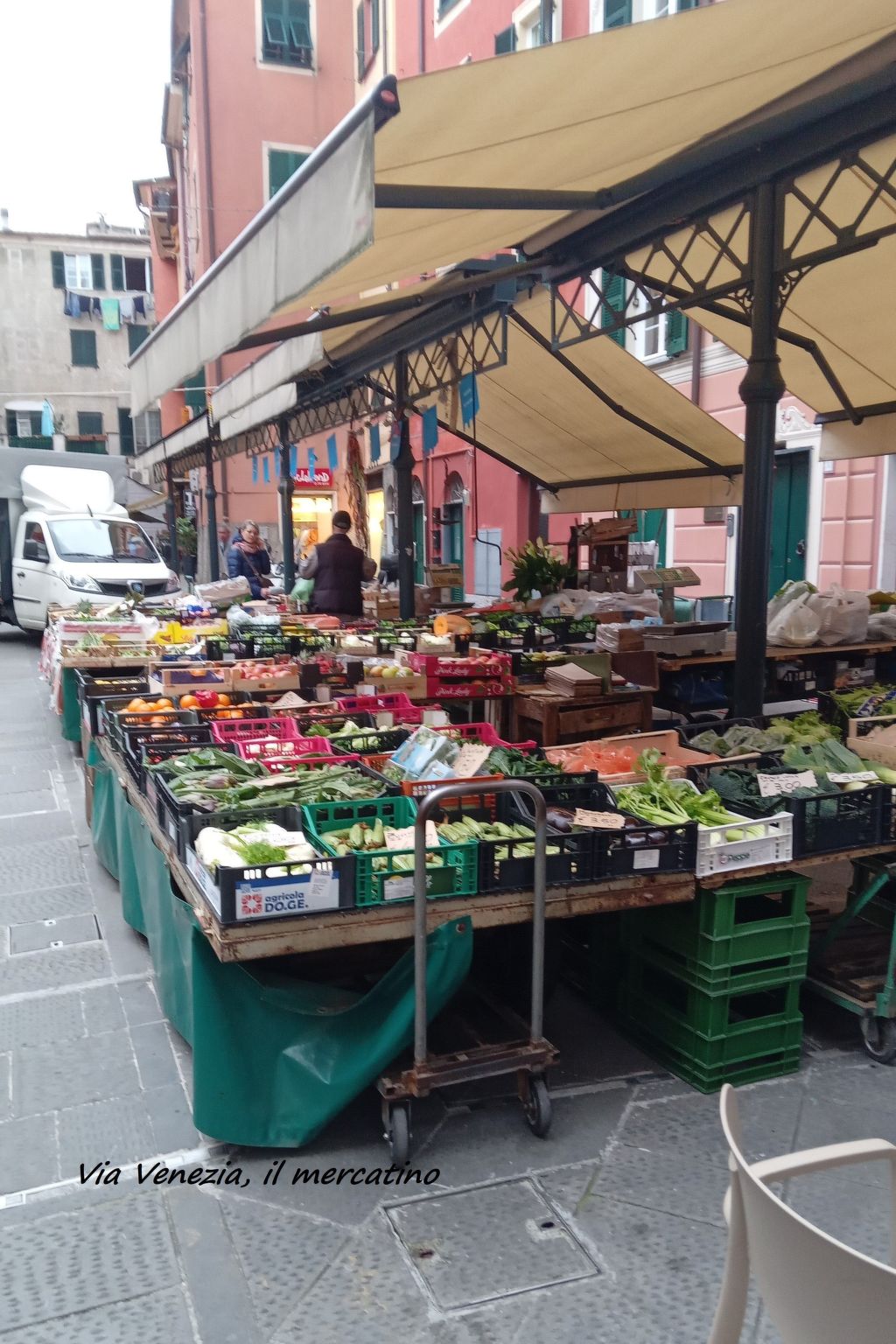 Seestern-Image-tags.info