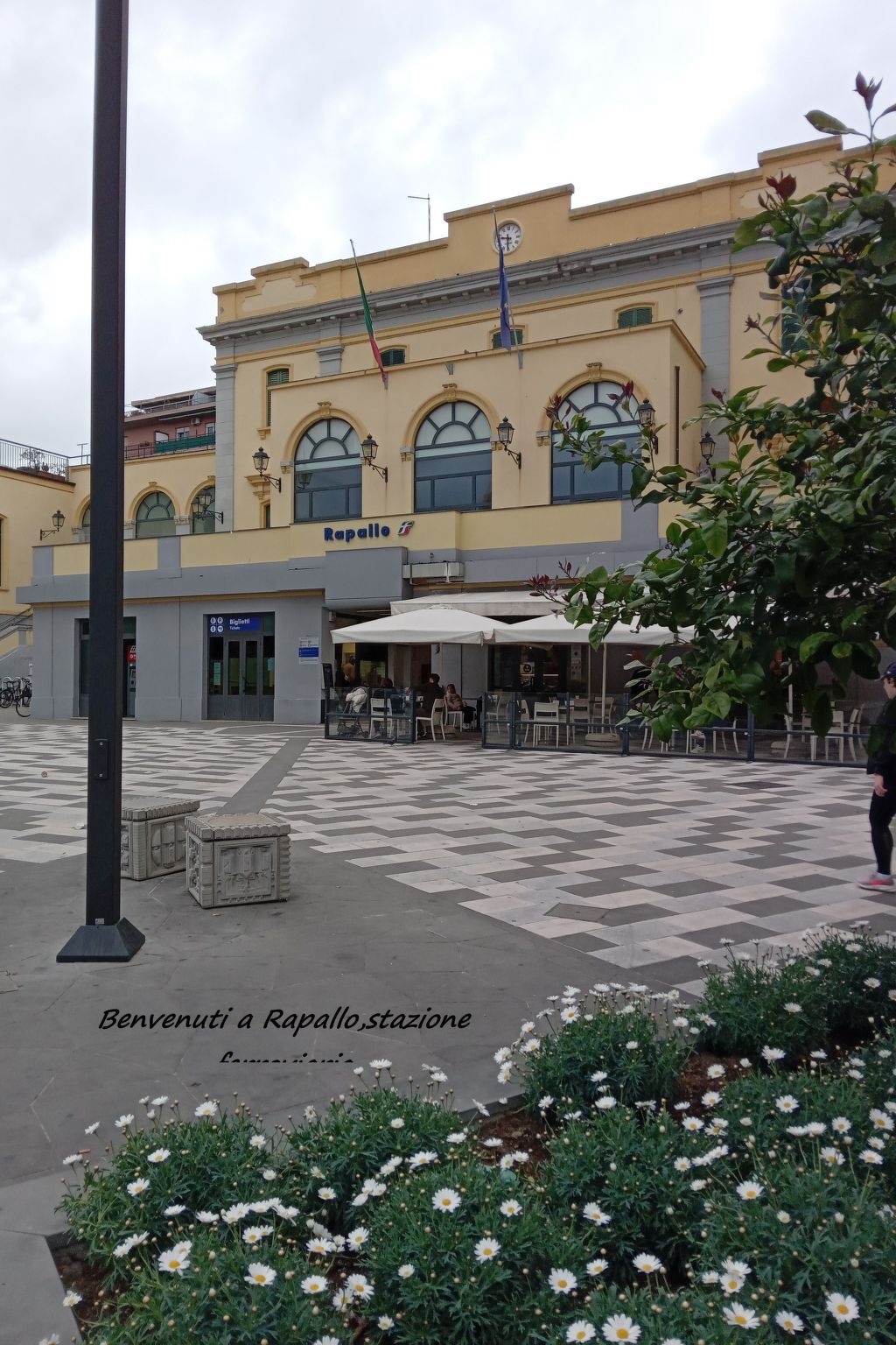 Seestern-Image-tags.info