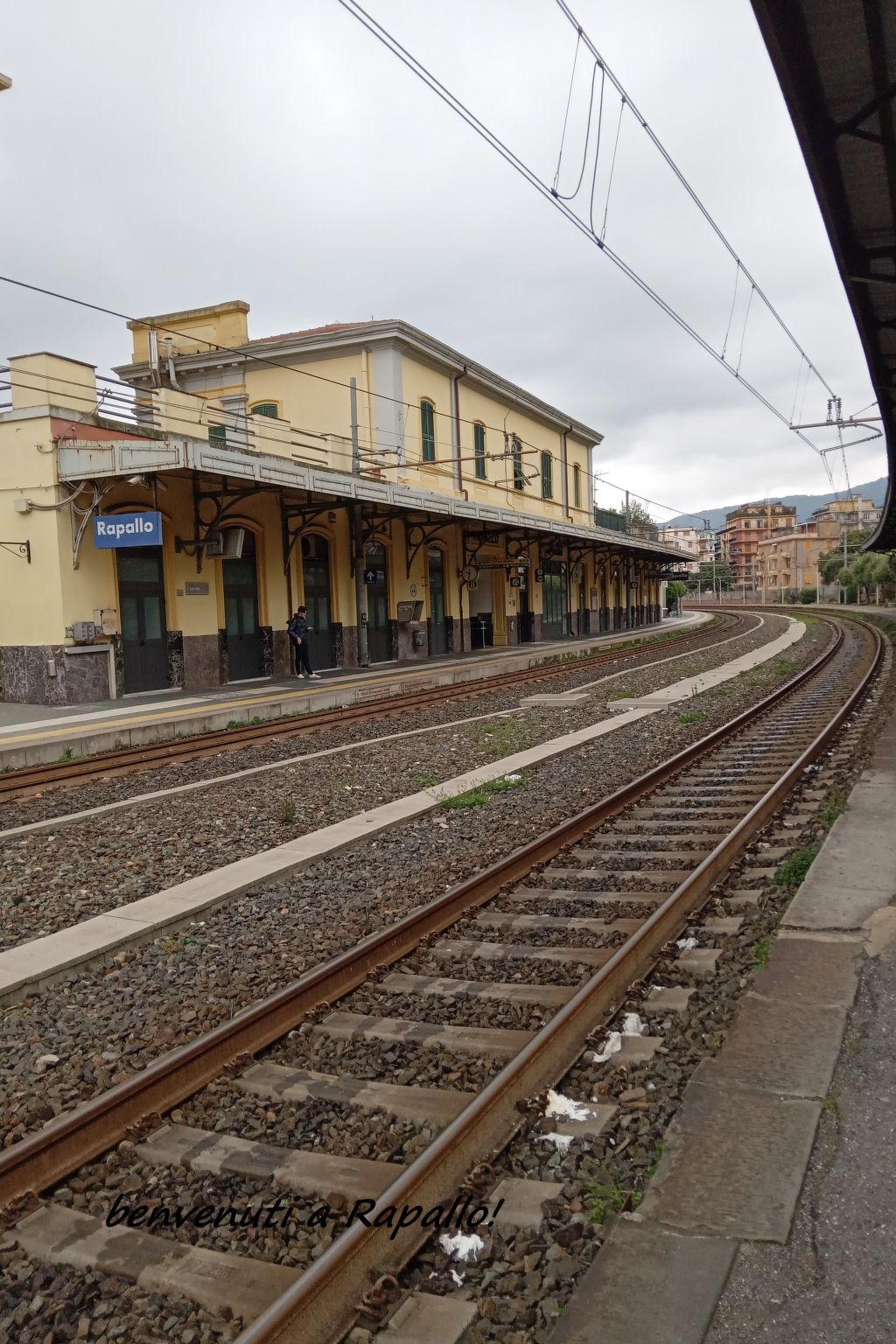 Seestern-Image-tags.info