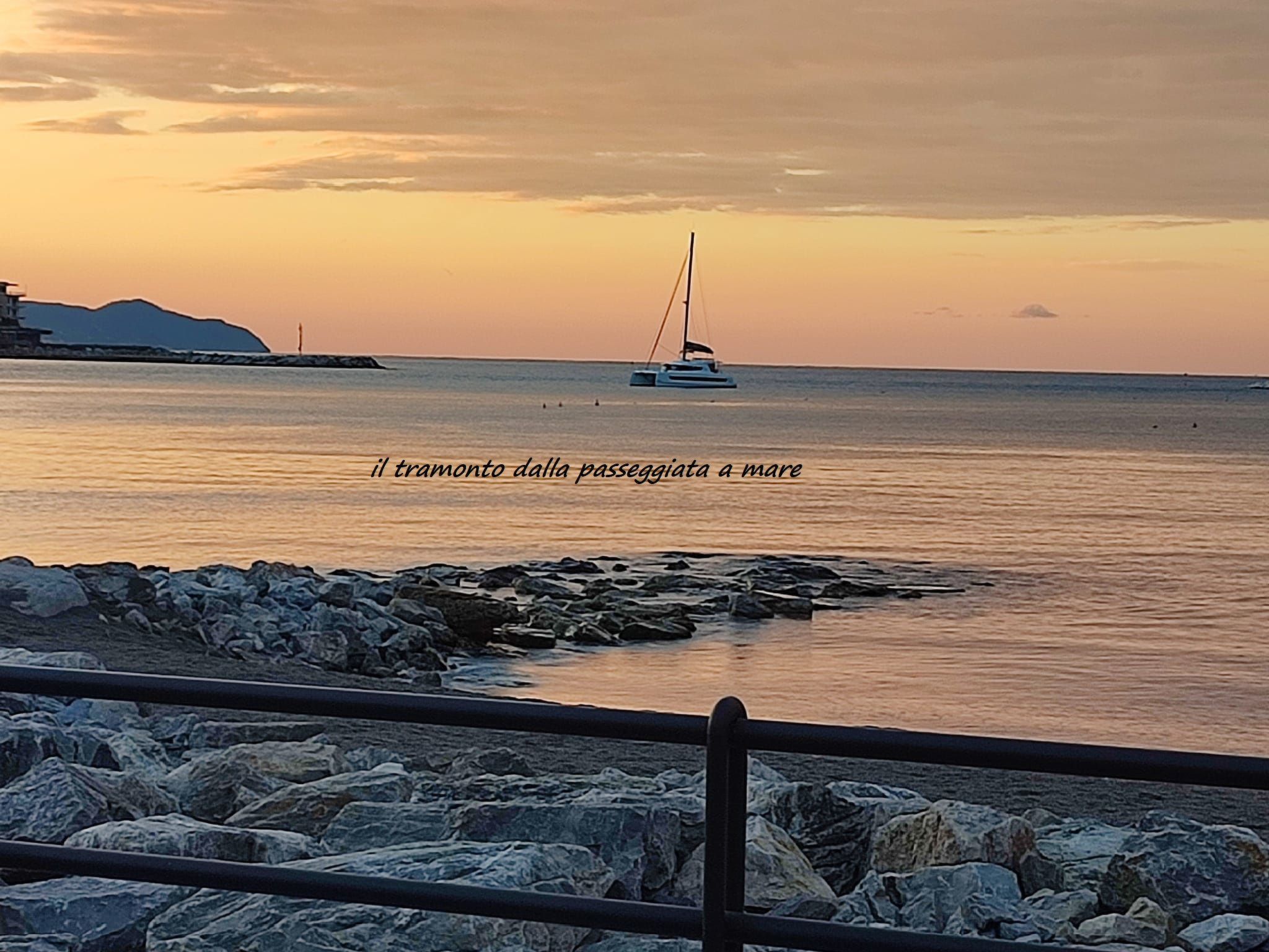 Seestern-Image-tags.info