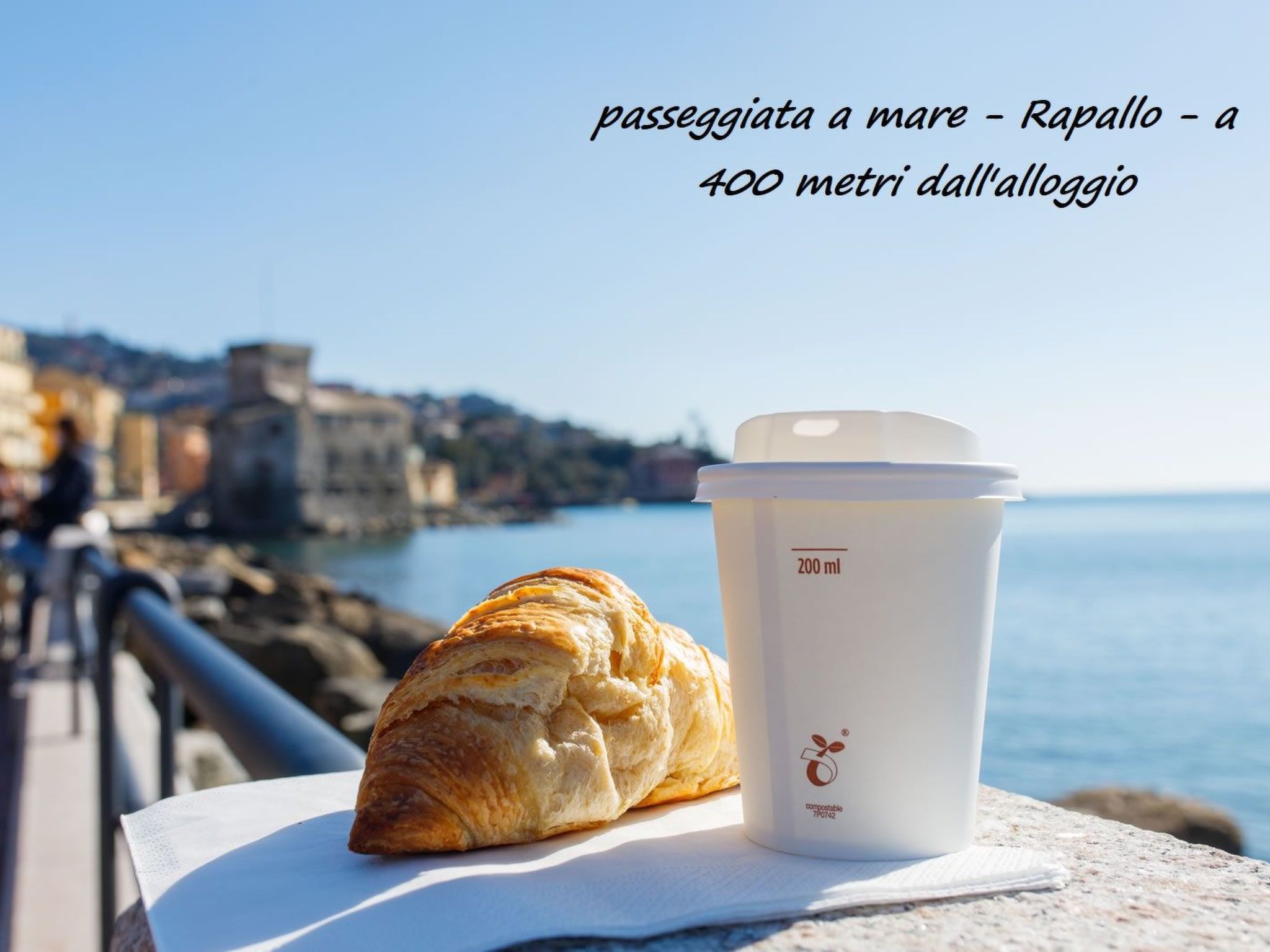 Seestern-Image-tags.info