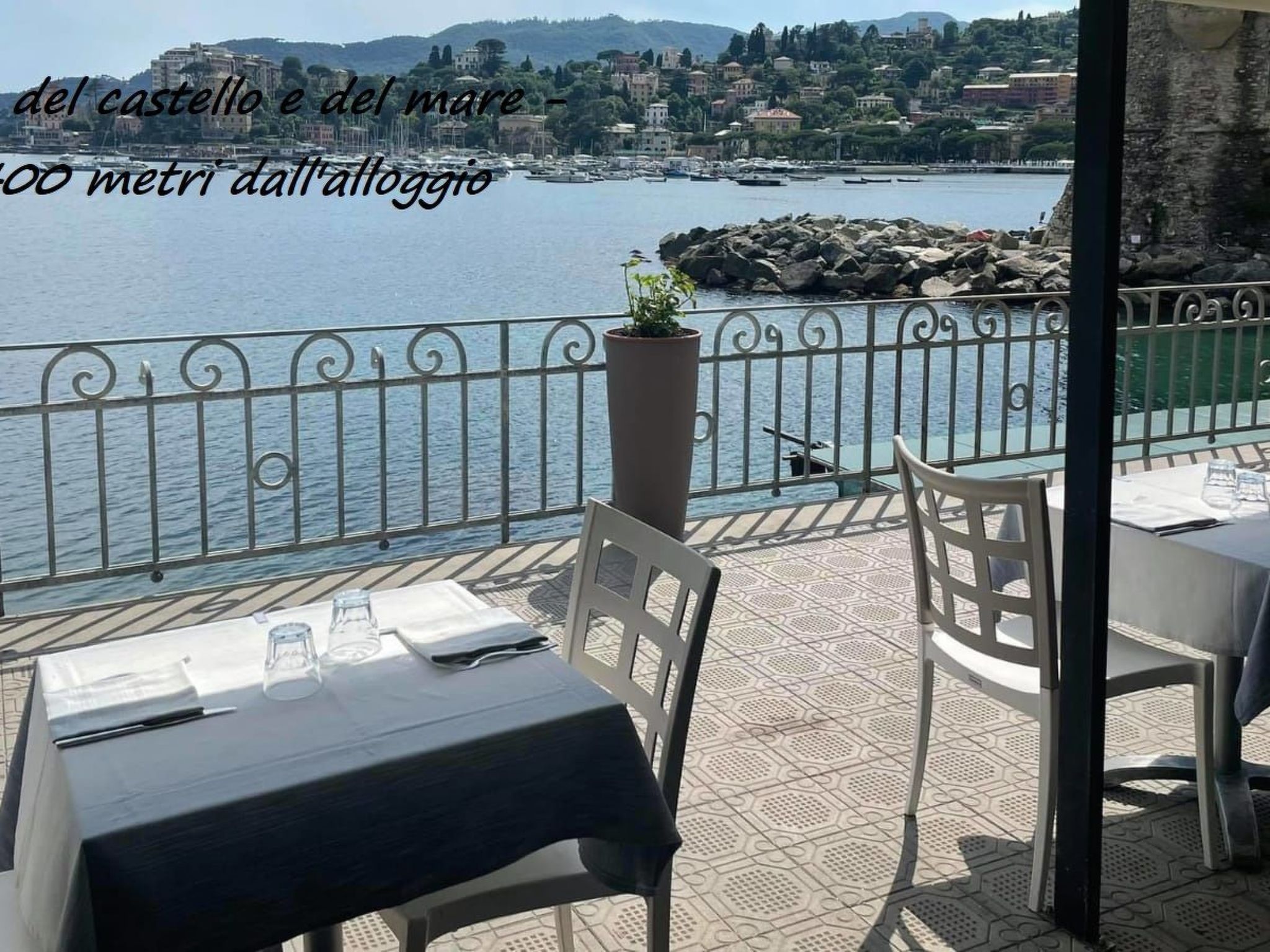 Seestern-Image-tags.info