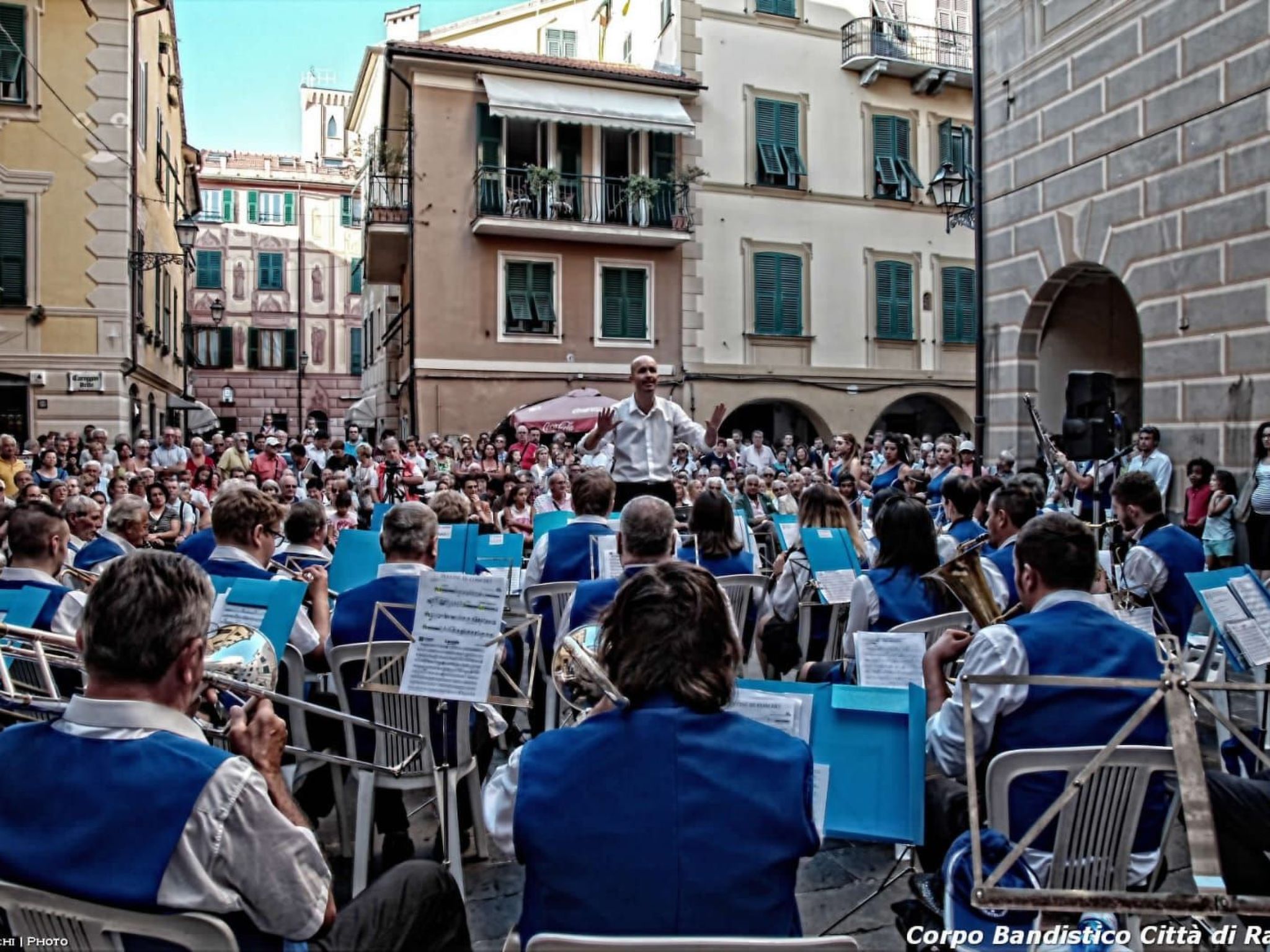 Seestern-Image-tags.info