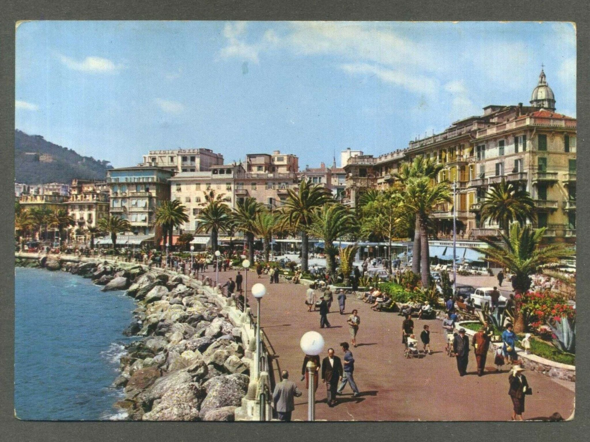 Seestern-Image-tags.info