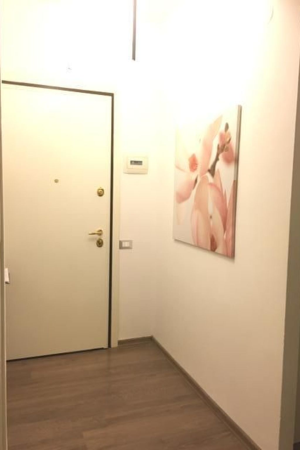 Casa Miki-Image-tags.info