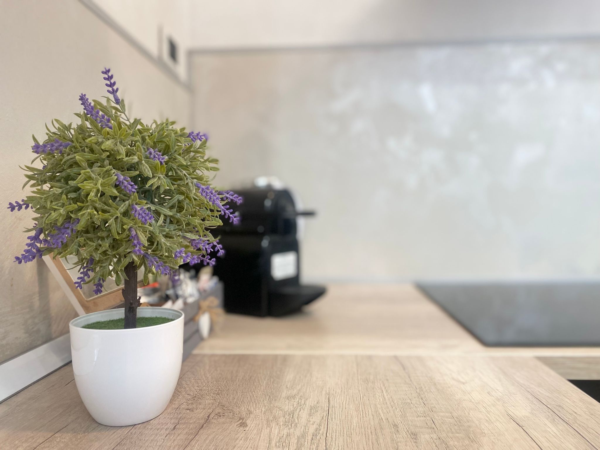 Wohnung in Rapallo mit kostenloser Privatgarage-Image-tags.info