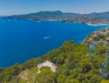 La Ginestra