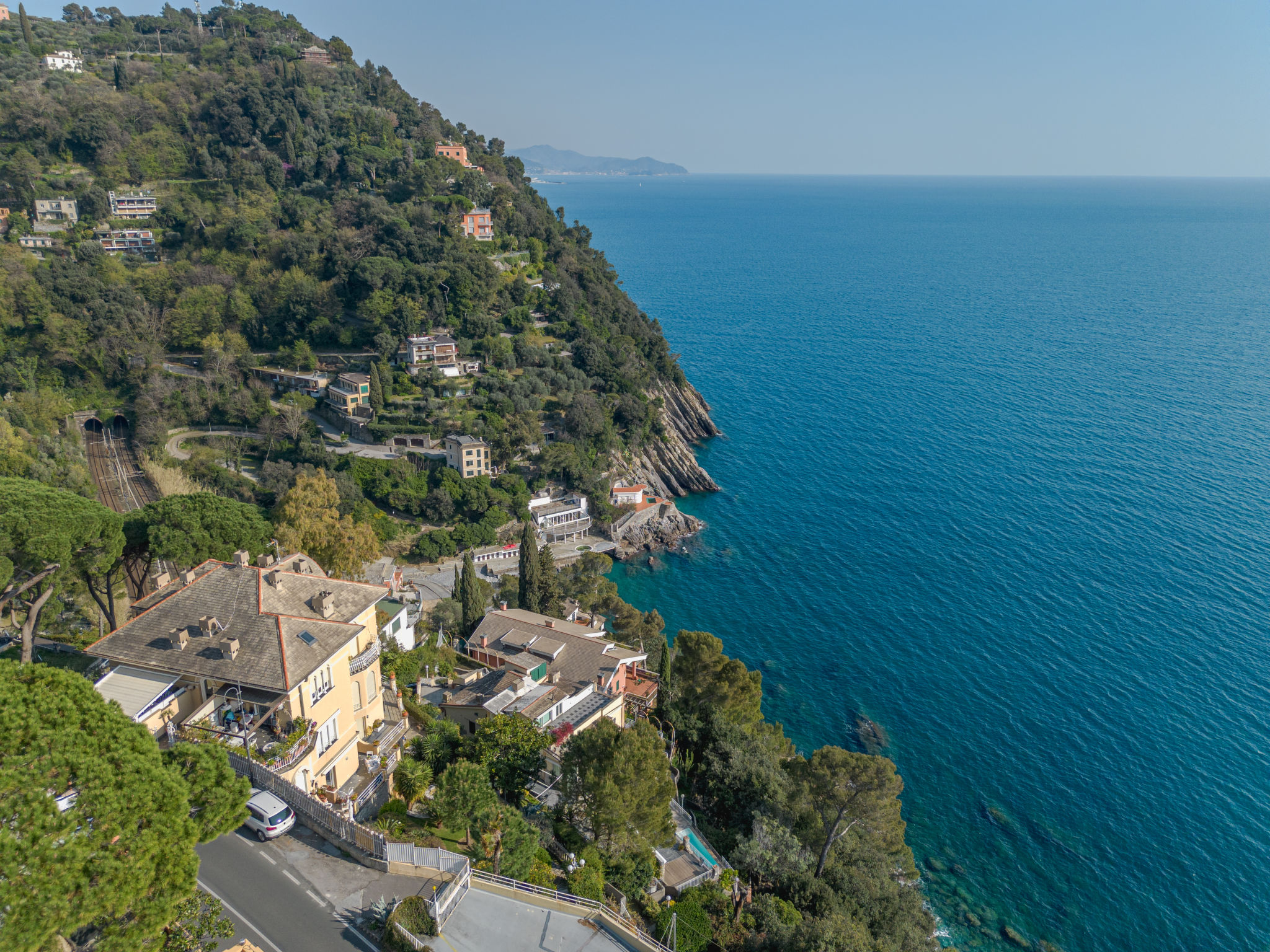 Laccadiva — view 1 of 36