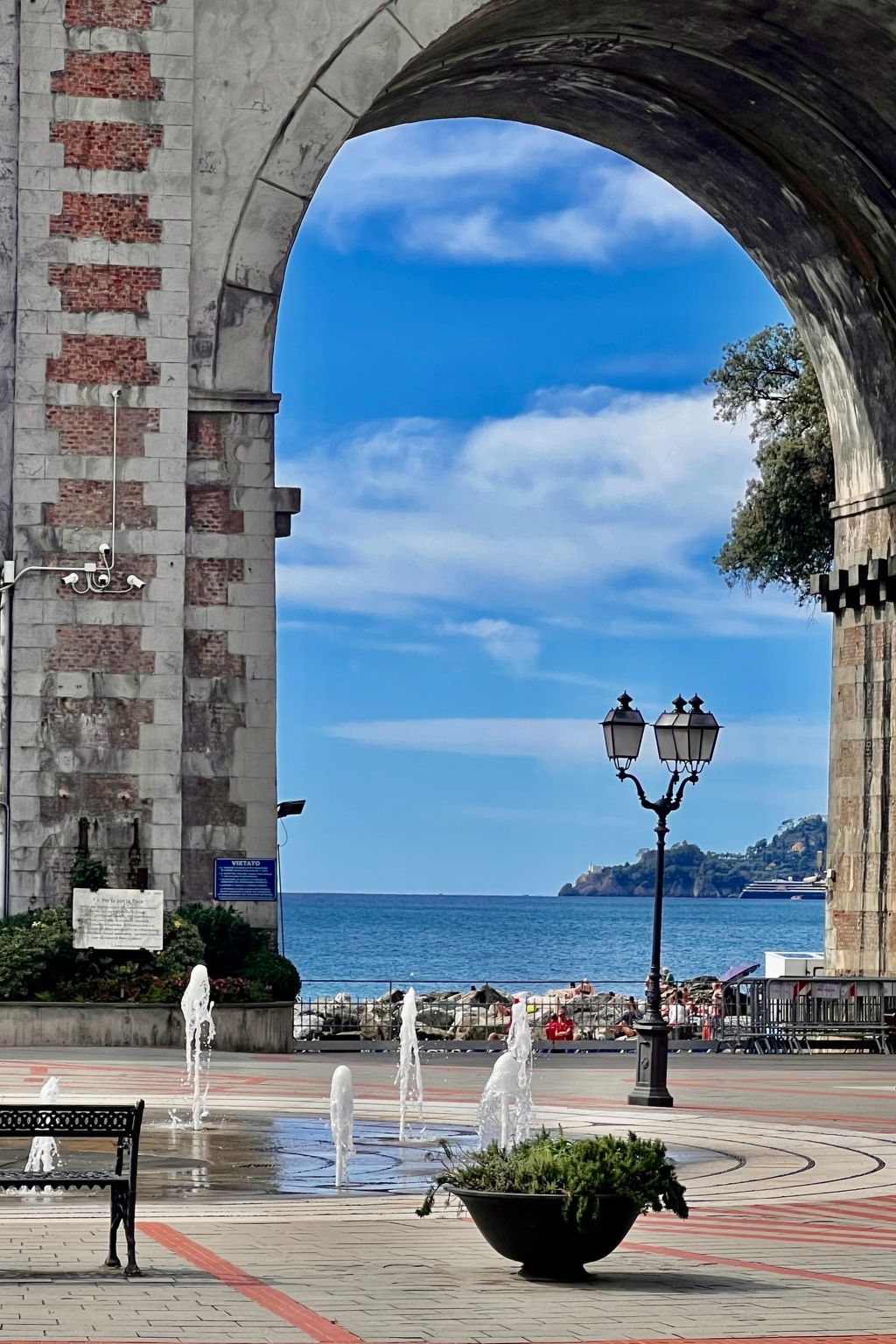 Pitosforo-Image-tags.info