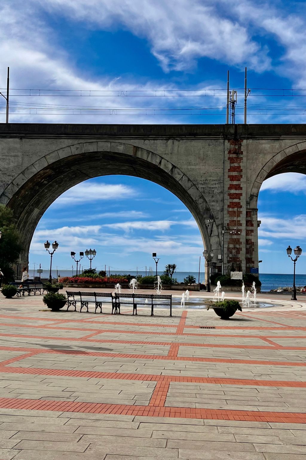 Pitosforo-Image-tags.info