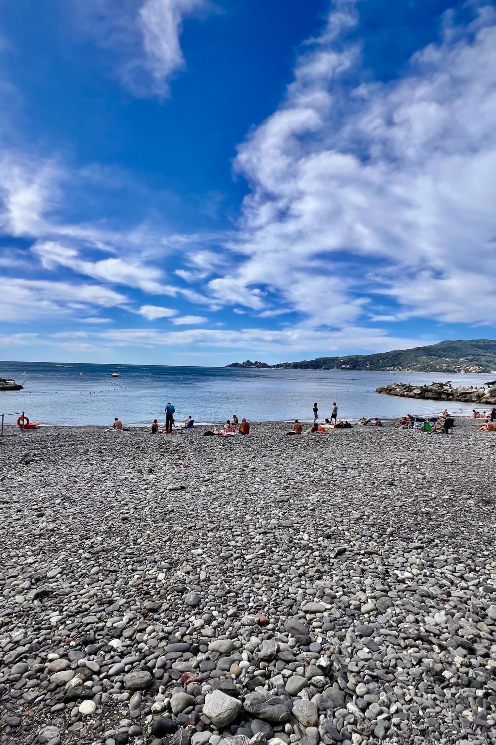 Pitosforo-Image-tags.info