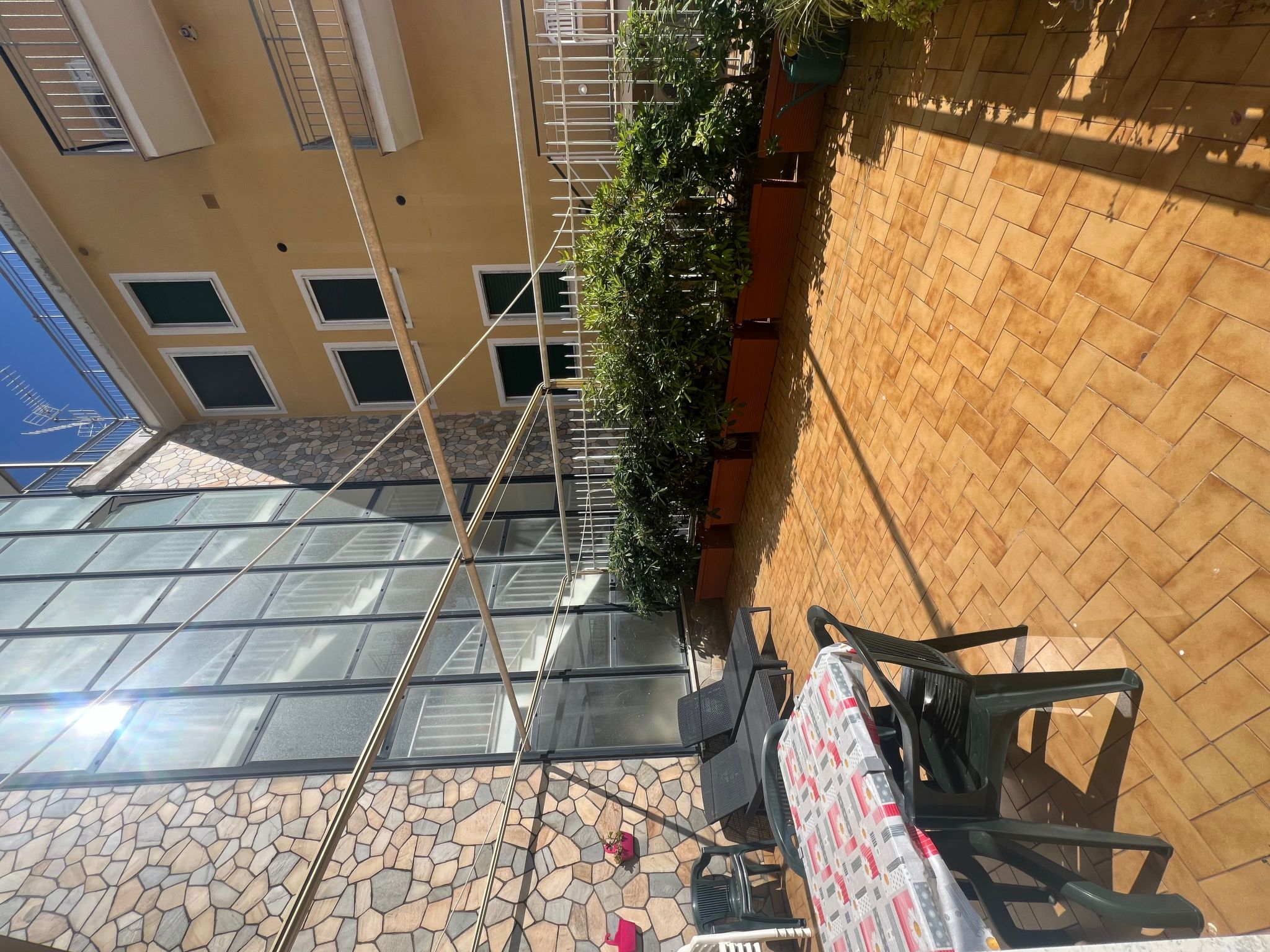 Pitosforo-Image-tags.info