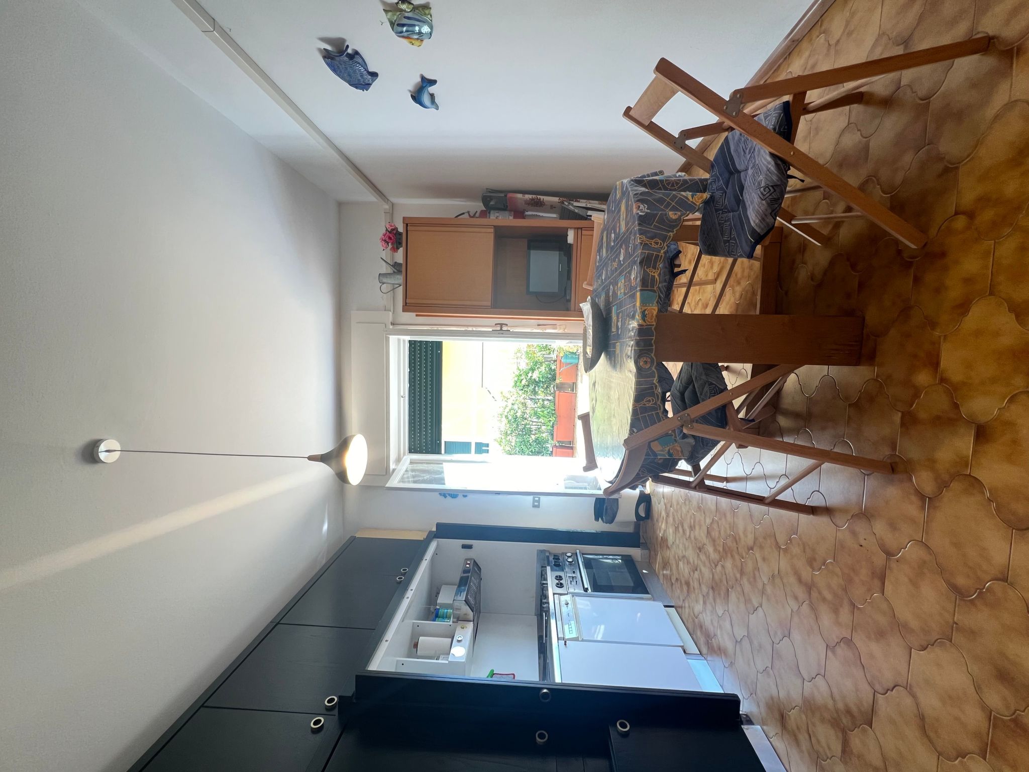 Pitosforo-Image-tags.info