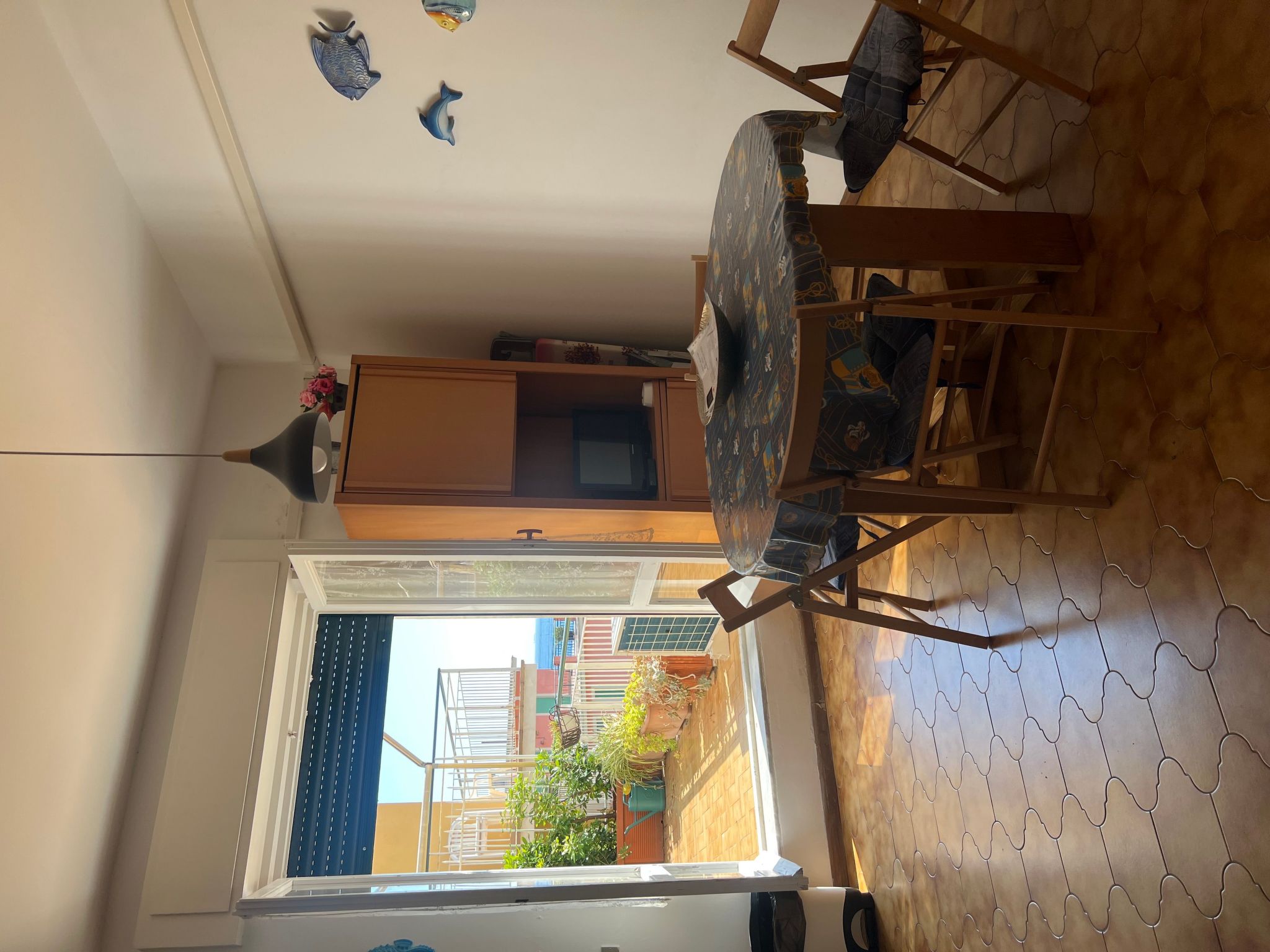 Pitosforo-Image-tags.info