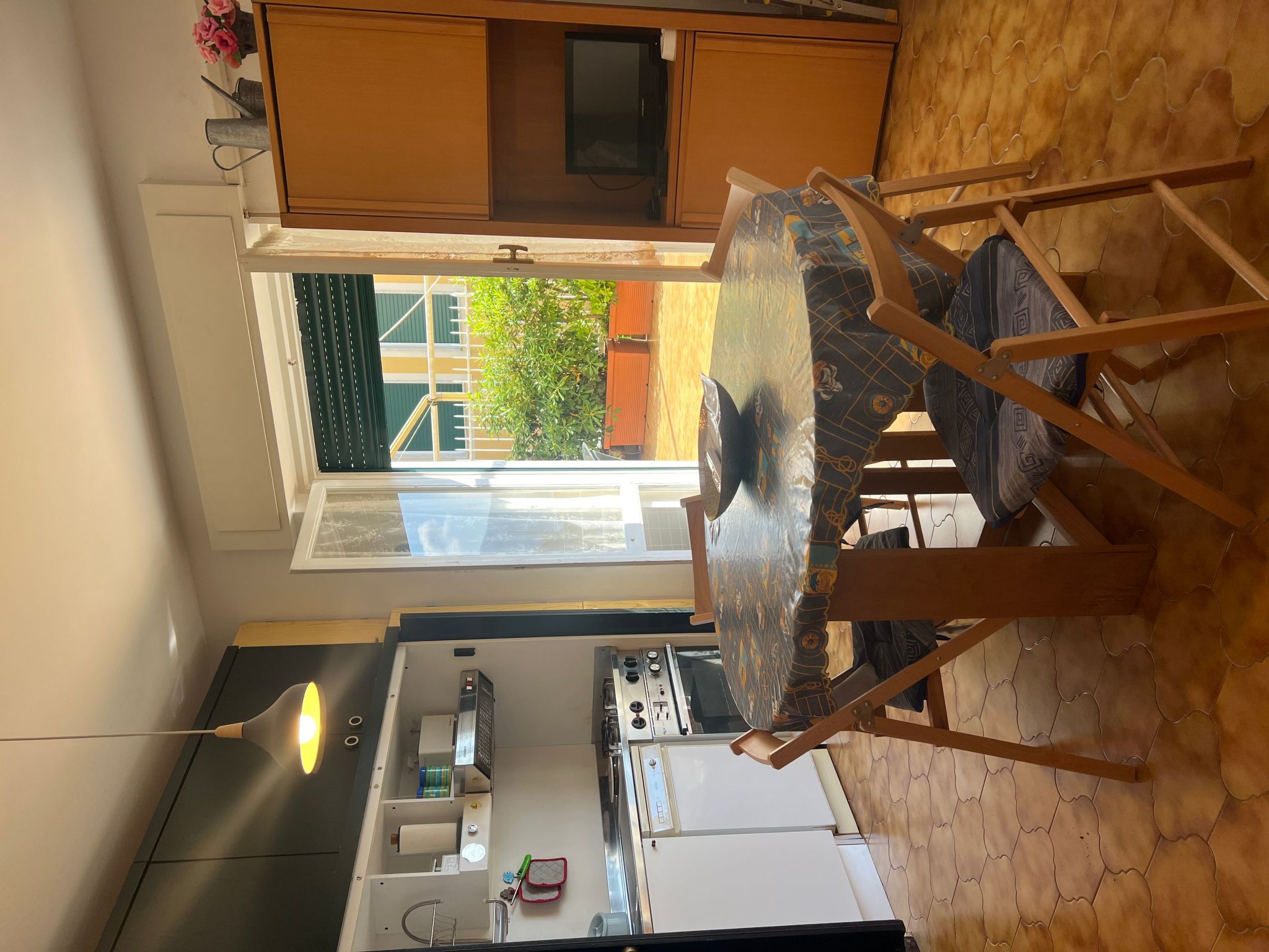 Pitosforo-Image-tags.info