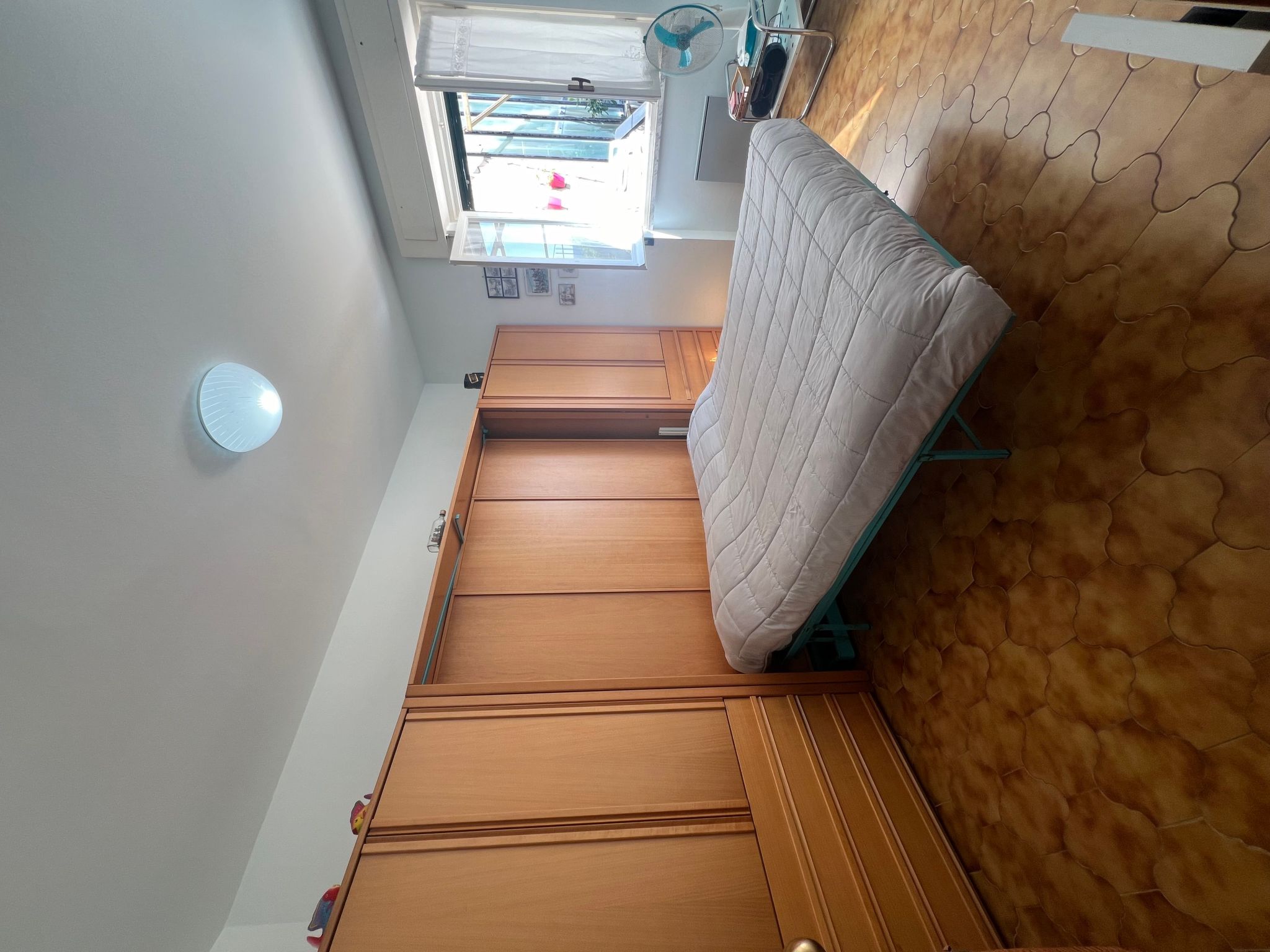 Pitosforo-Image-tags.info