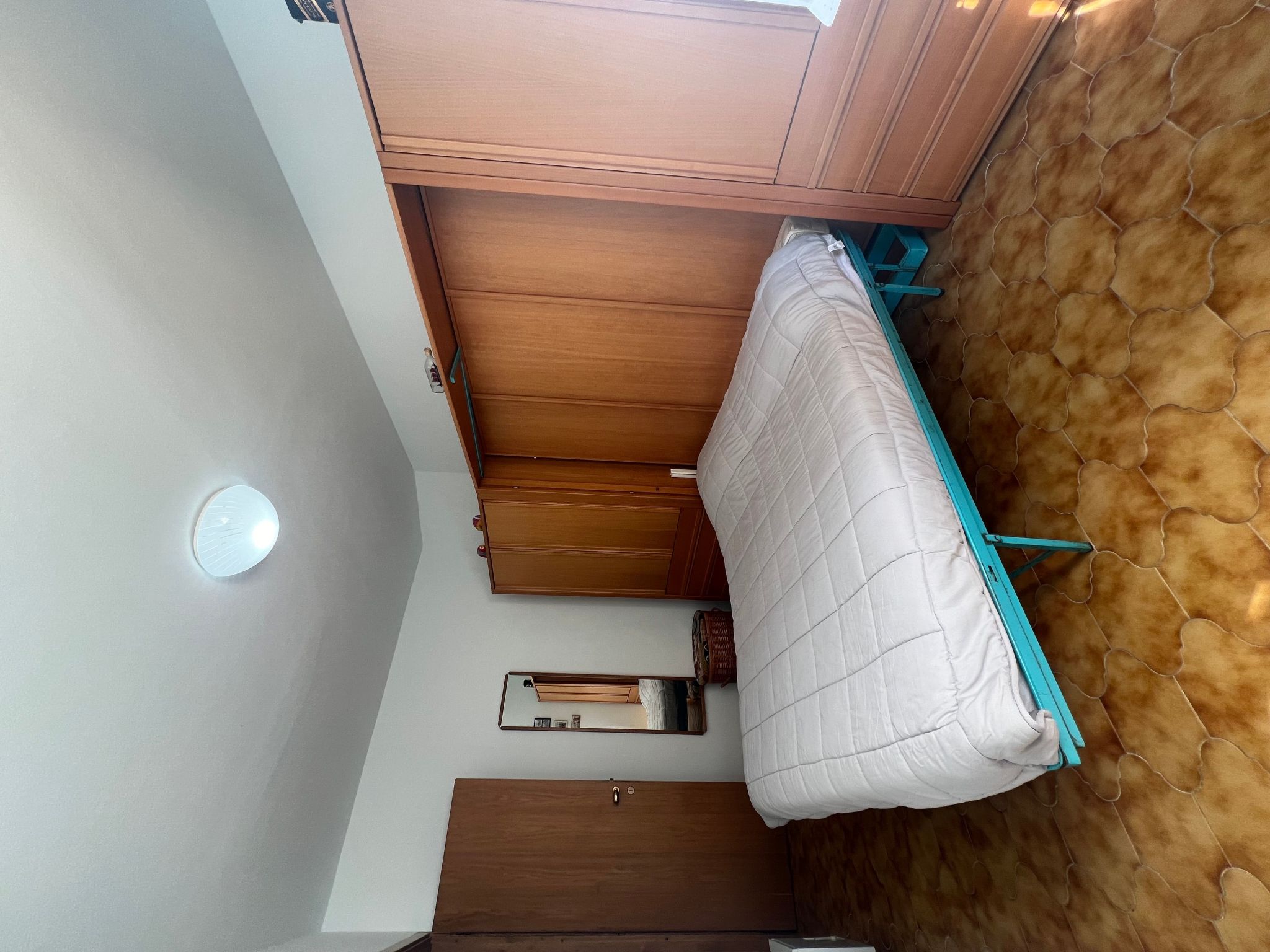 Pitosforo-Image-tags.info