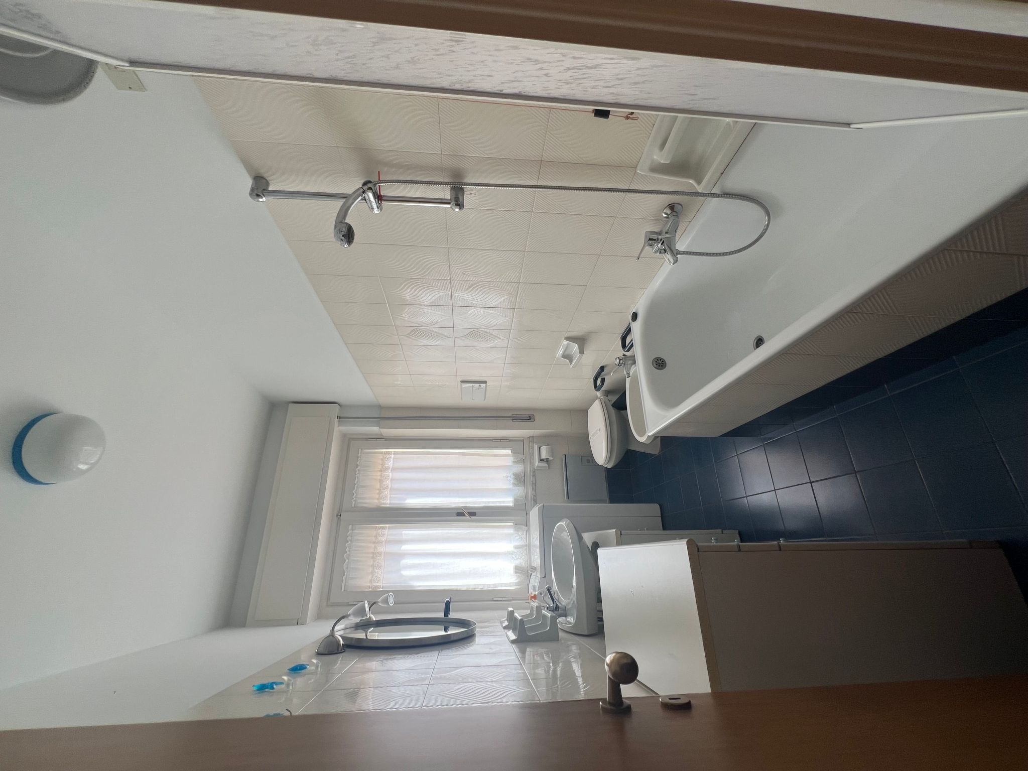 Pitosforo-Image-tags.info