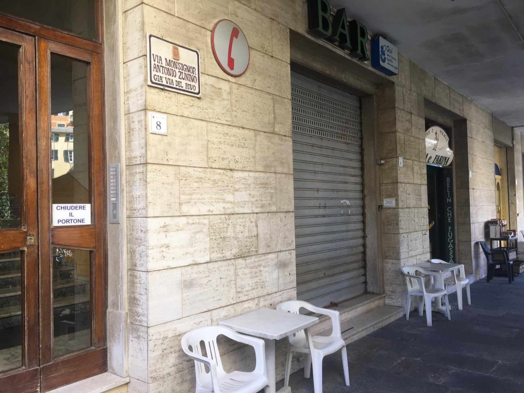 Pitosforo-Image-tags.info