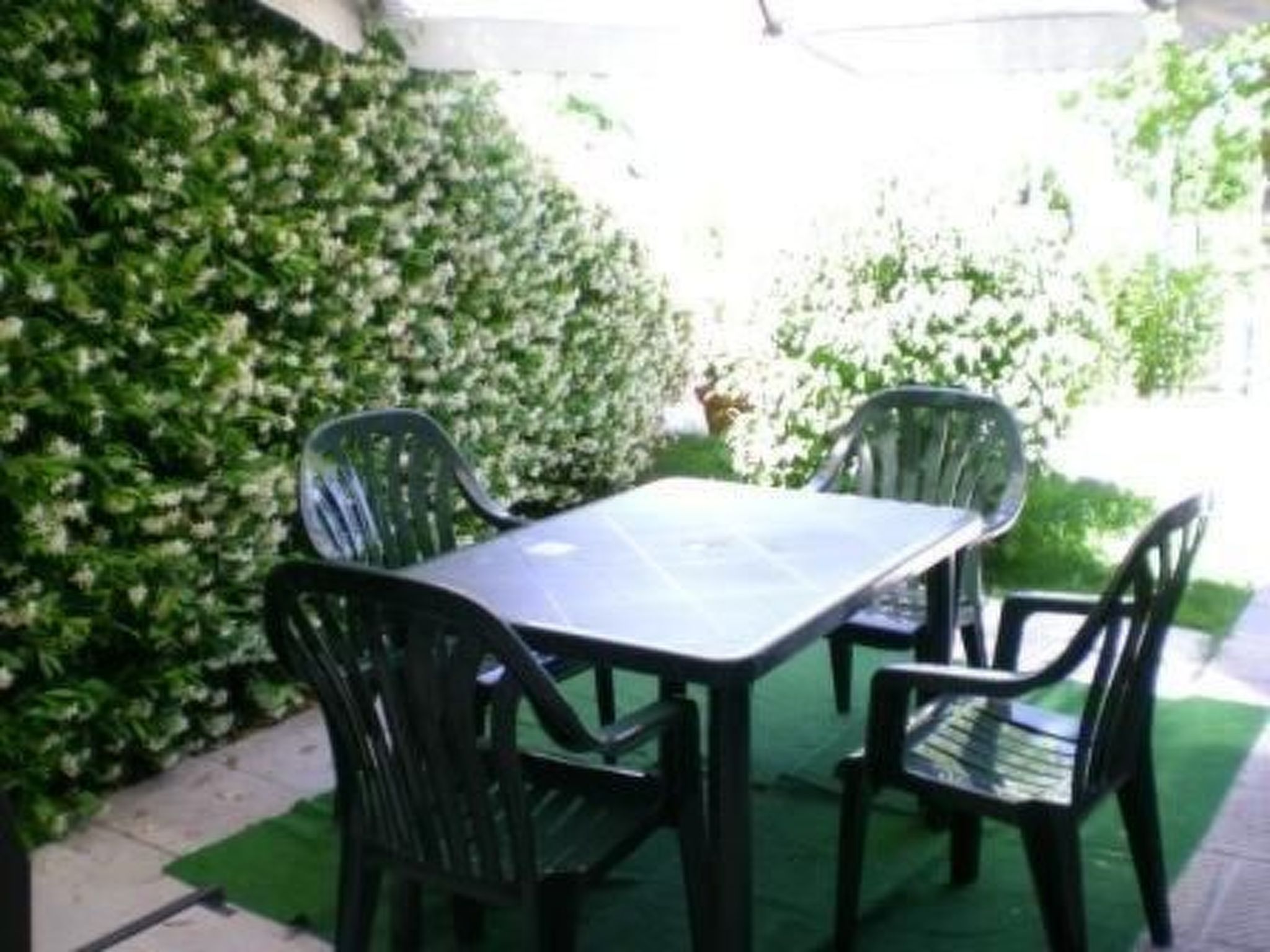 Miravalle Ferienhäuser - Wohnung Margherita-Drinnen