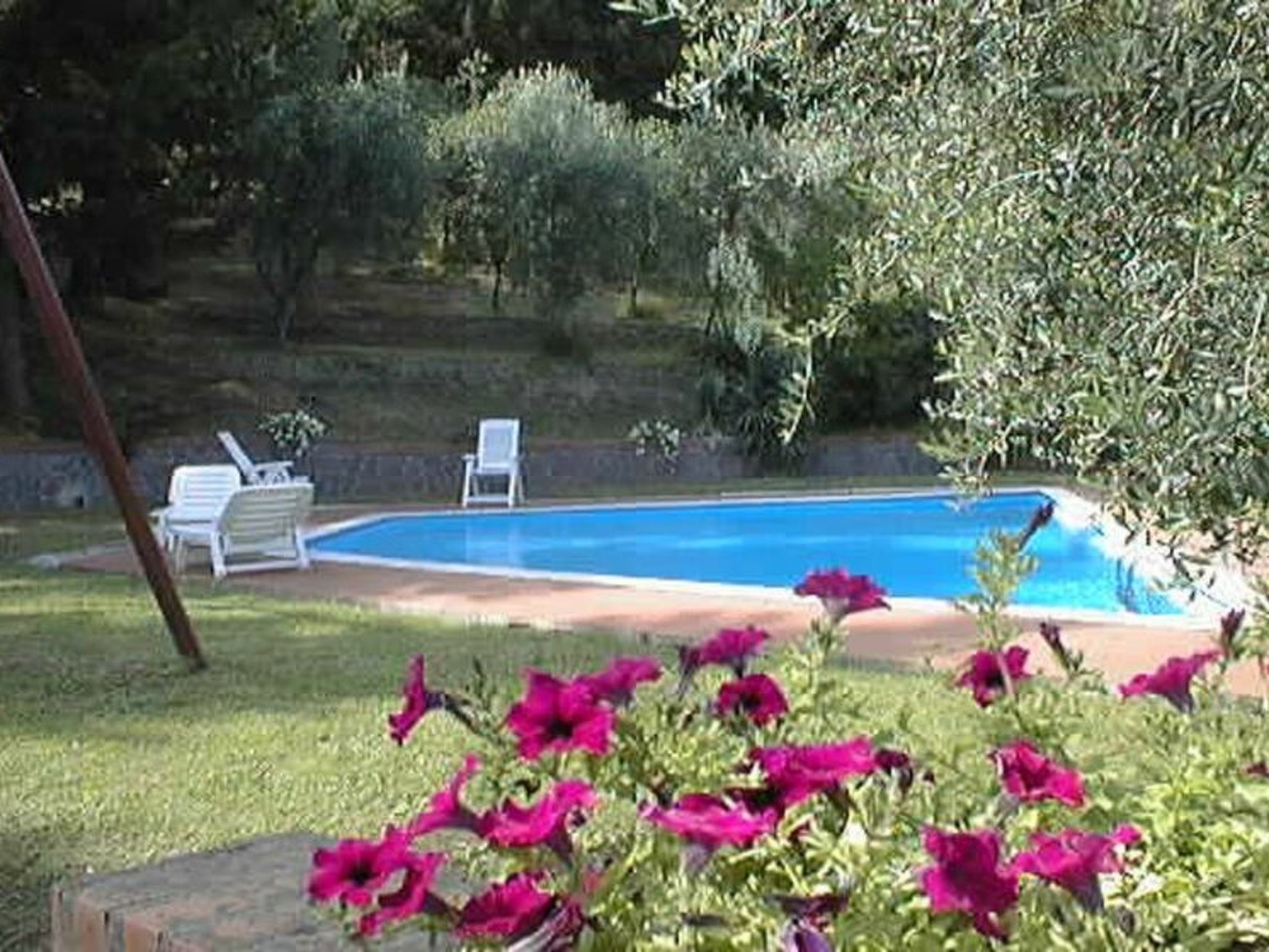 Aurora - Image-tags.info