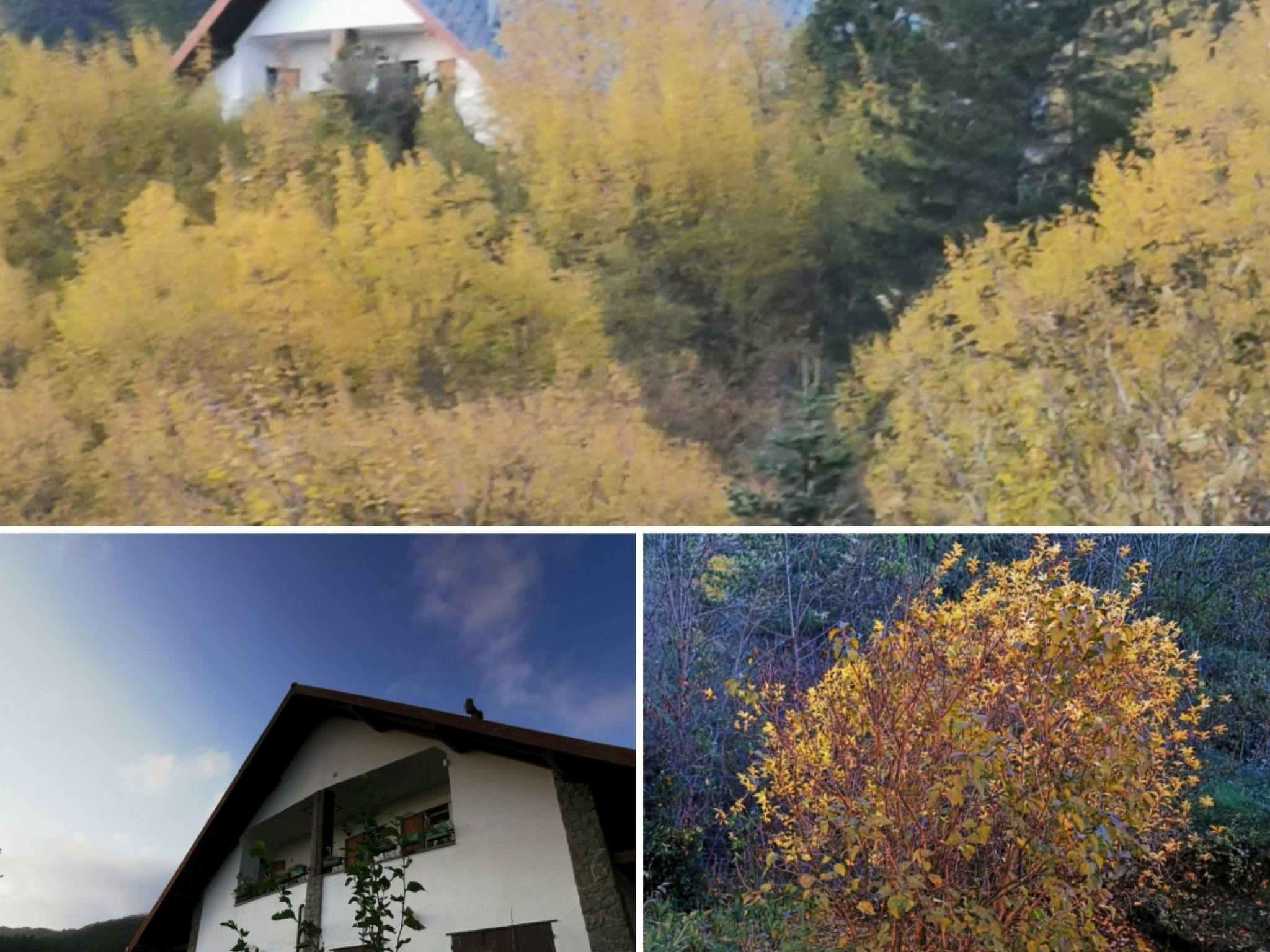 Vakantiehuis in Borzonasca (Italië) 1 hond is welkom