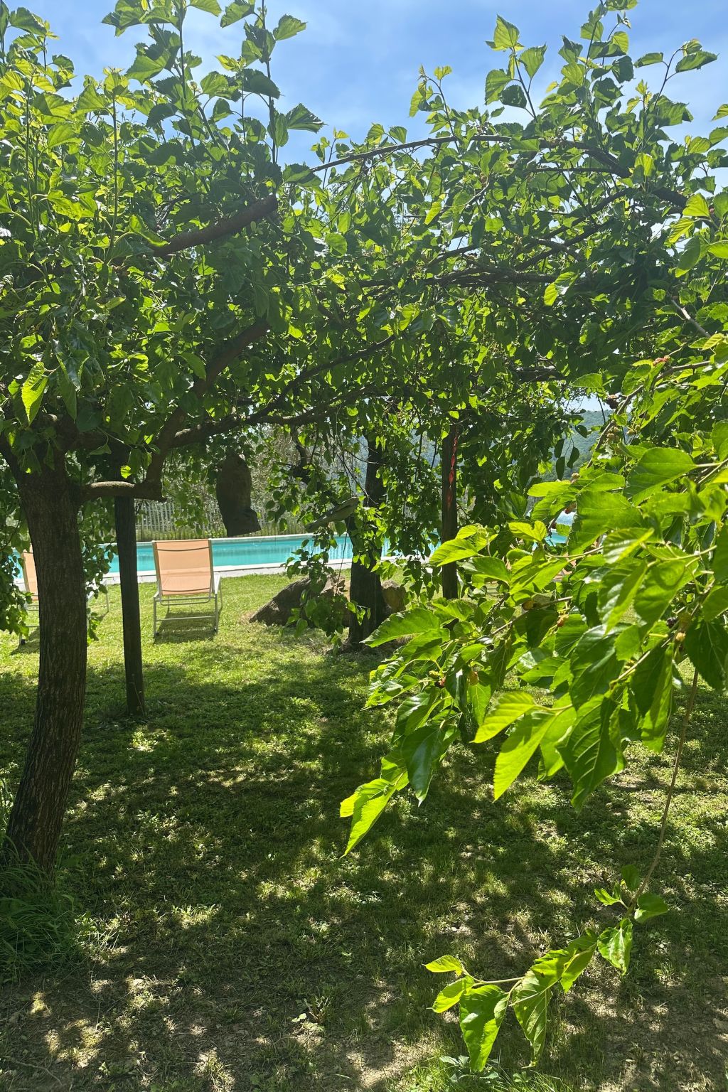 Vakantievilla 'Top Hill'-Drinnen