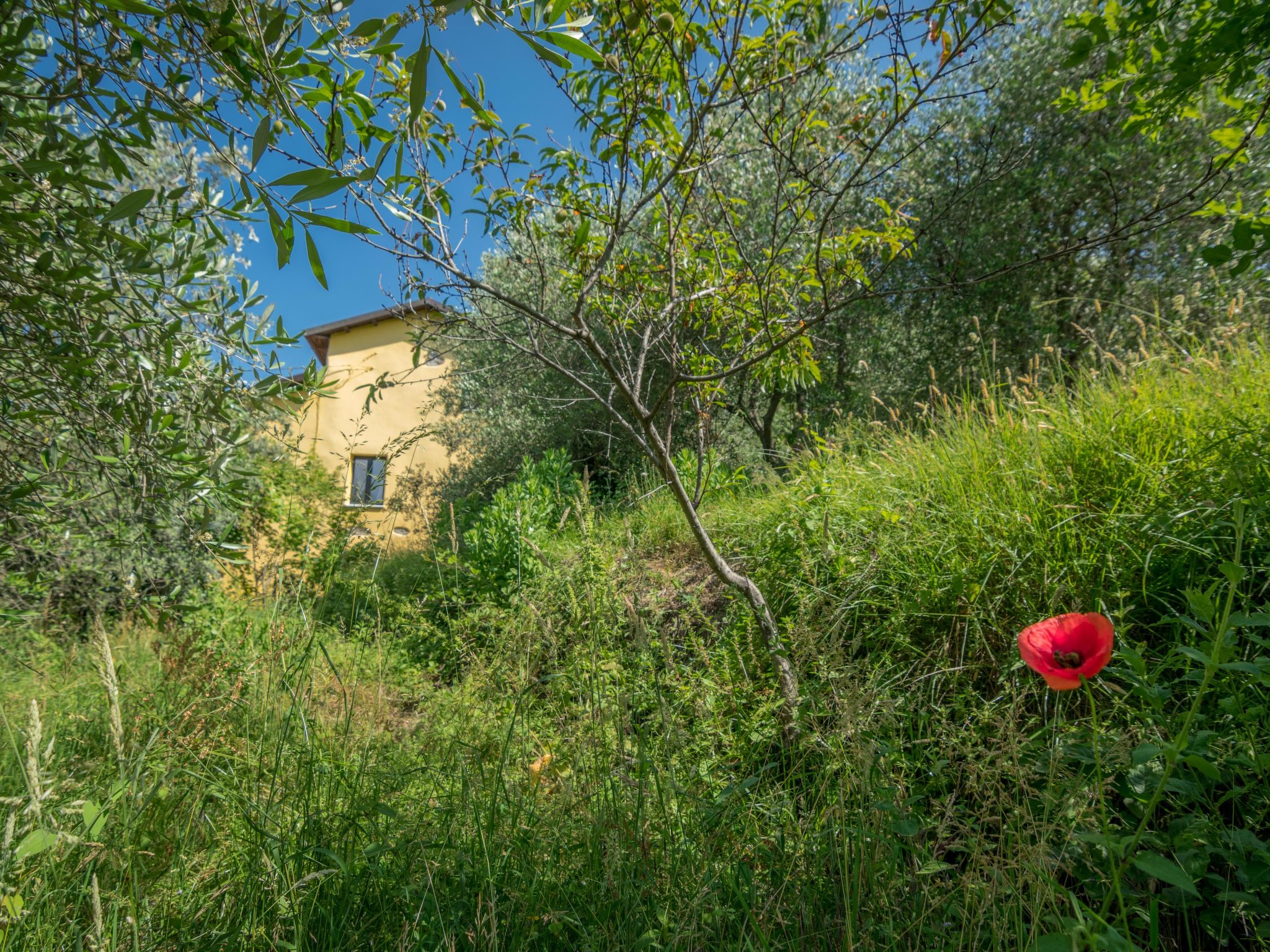 Villa Garibaldino-Binnen