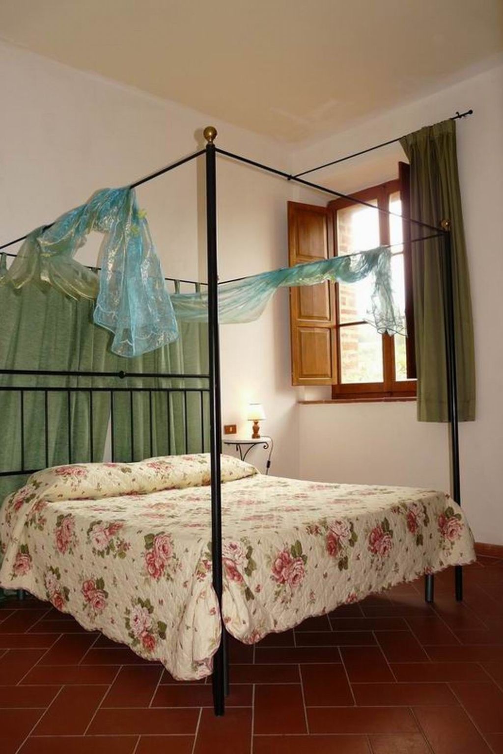 Flach 'Salvia castellett