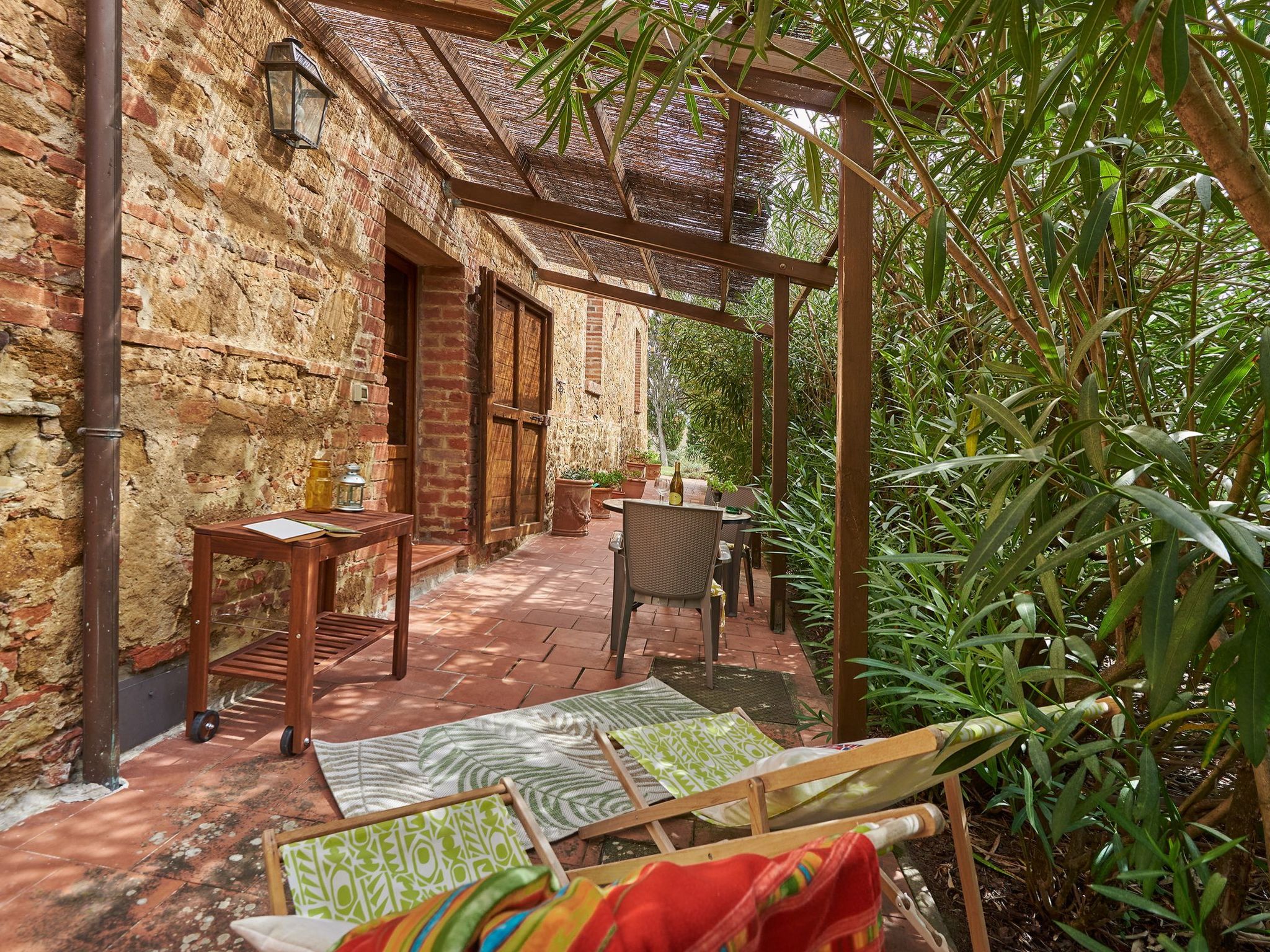 Flach 'Salvia castellett-Binnen