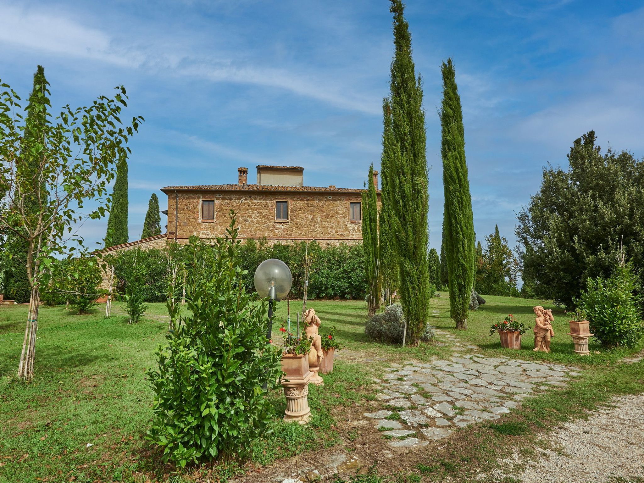 Flach 'Salvia castellett