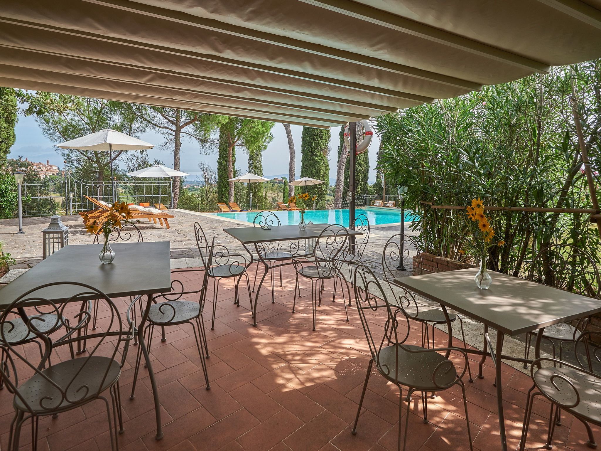 Flach 'Salvia castellett-Binnen