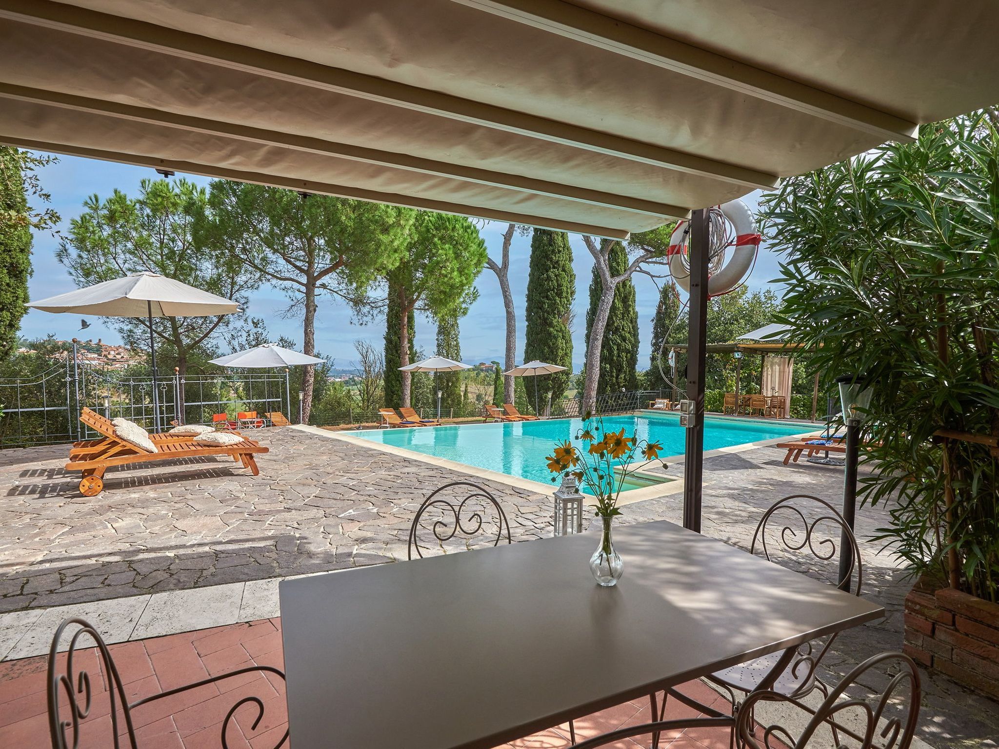 Flach 'Salvia castellett-Binnen