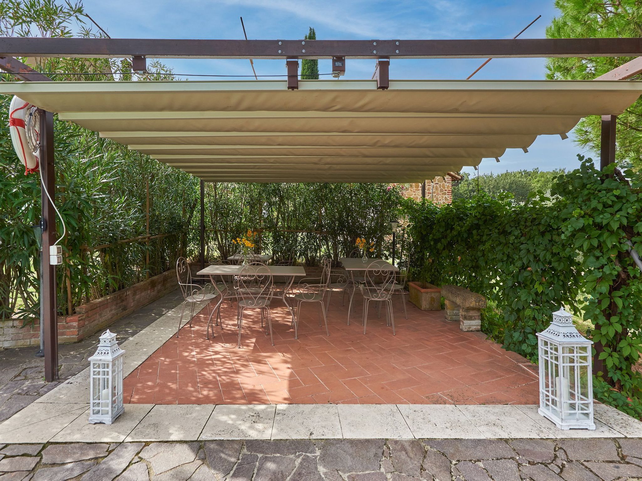 Flach 'Salvia castellett-Binnen