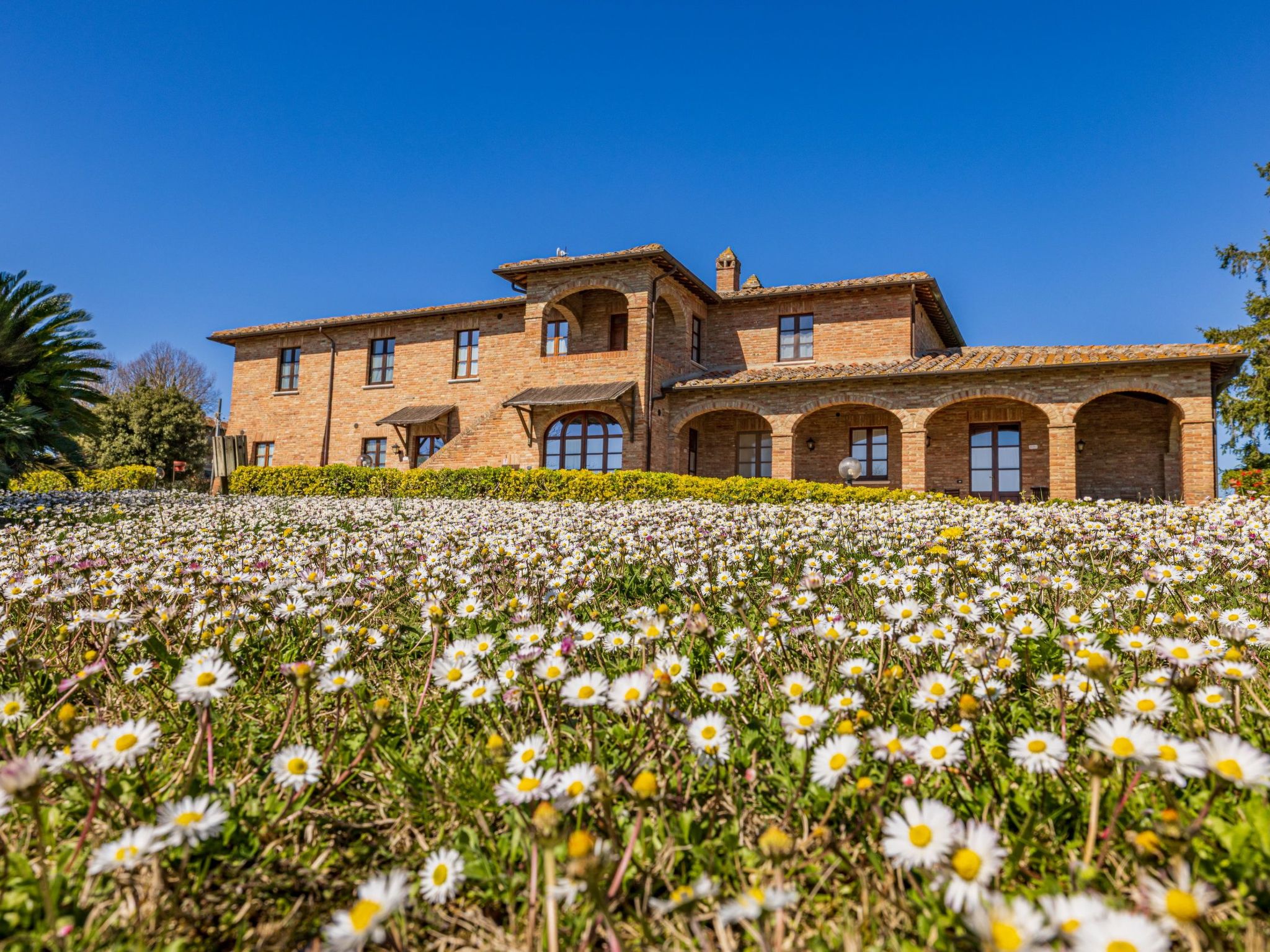 Vakantiehuis met omheinde tuin in Abbadia (Italië) 1 hond is welkom