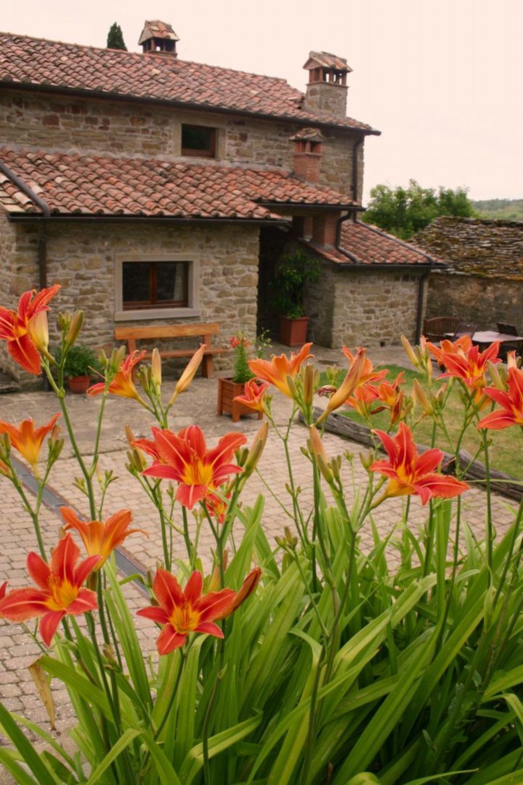 Anwesen mit eigenem Pool-Image-tags.info