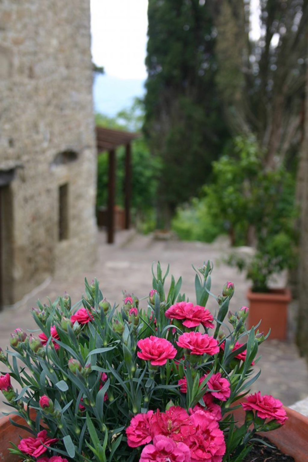 Anwesen mit eigenem Pool-Image-tags.info