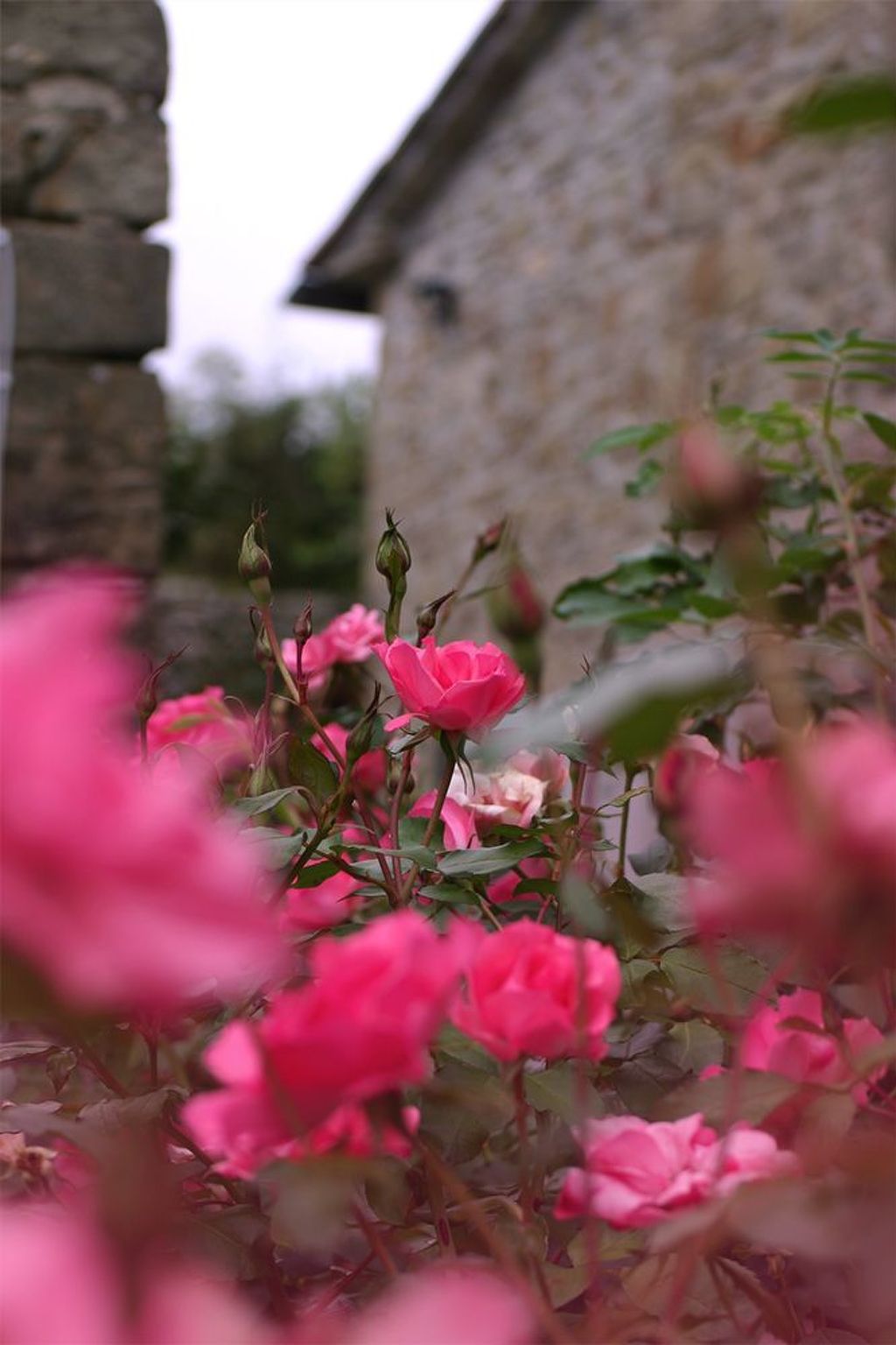 Anwesen mit eigenem Pool-Image-tags.info