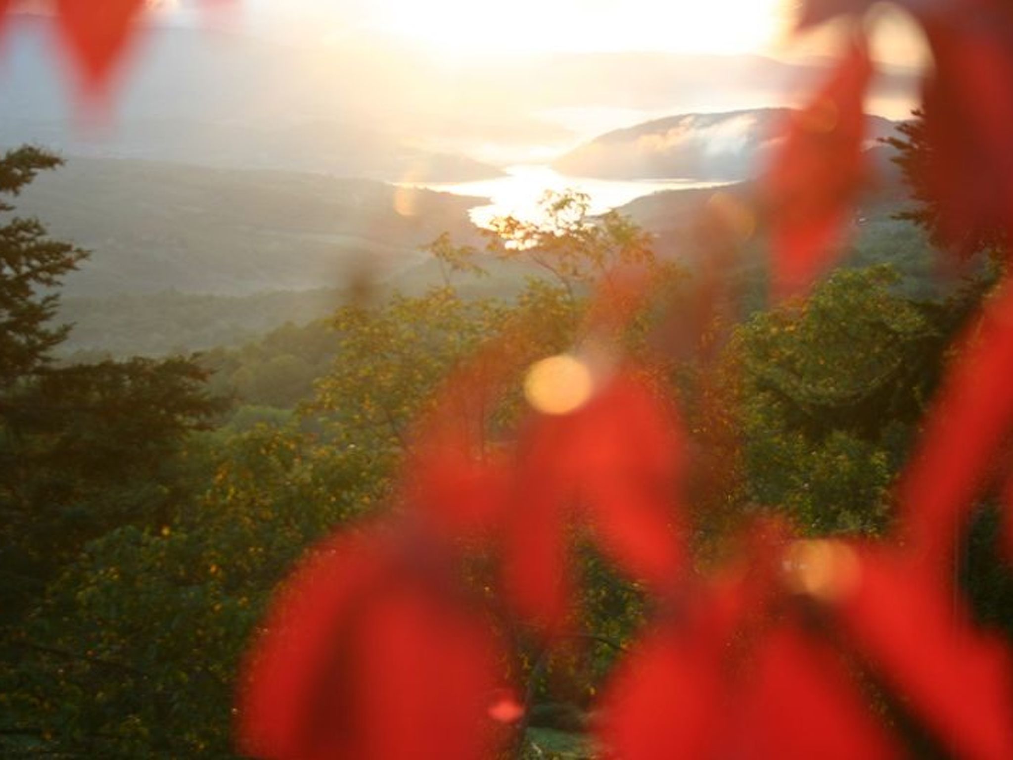 Anwesen mit eigenem Pool-Image-tags.info