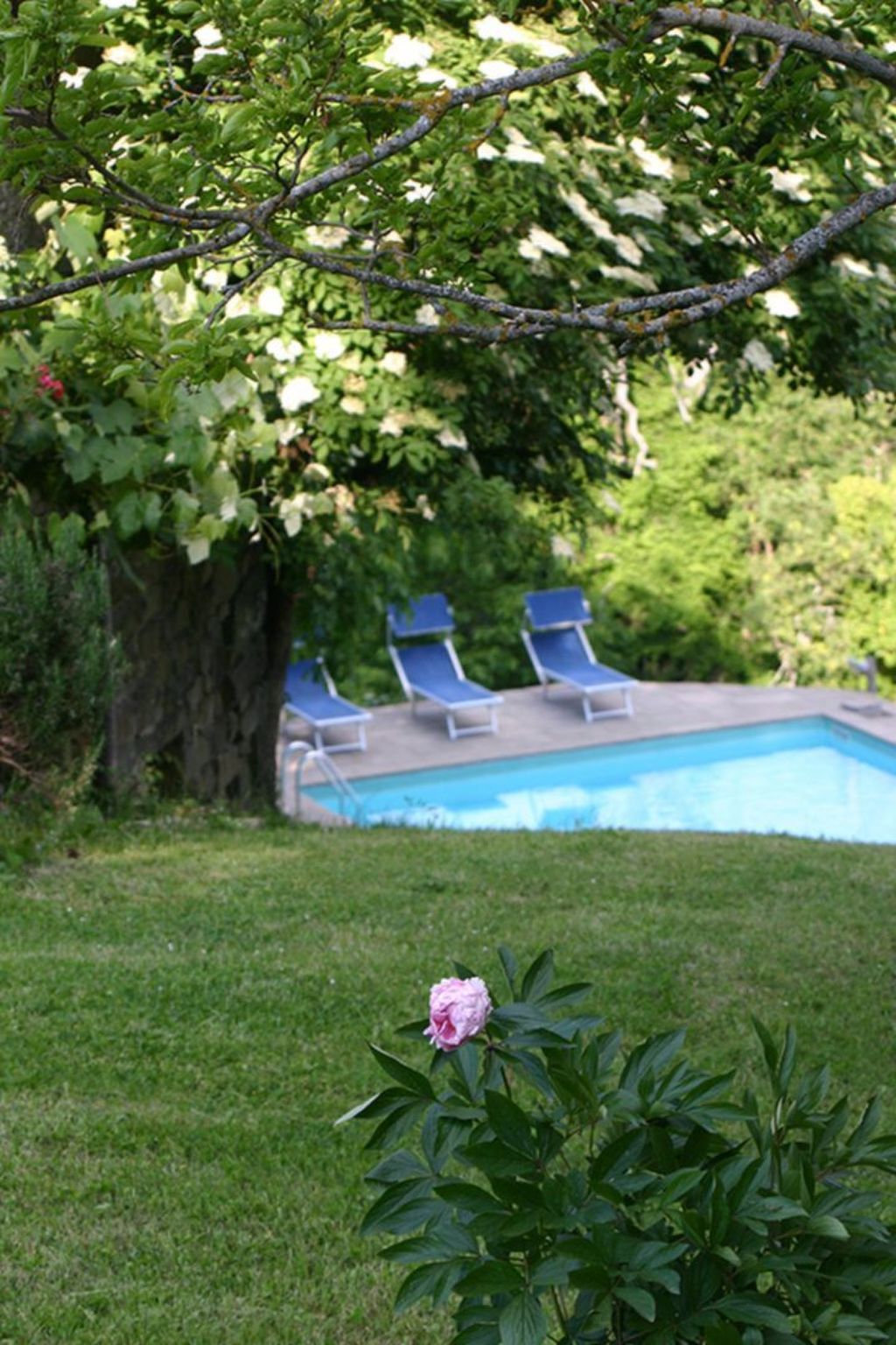 Anwesen mit eigenem Pool-Image-tags.info