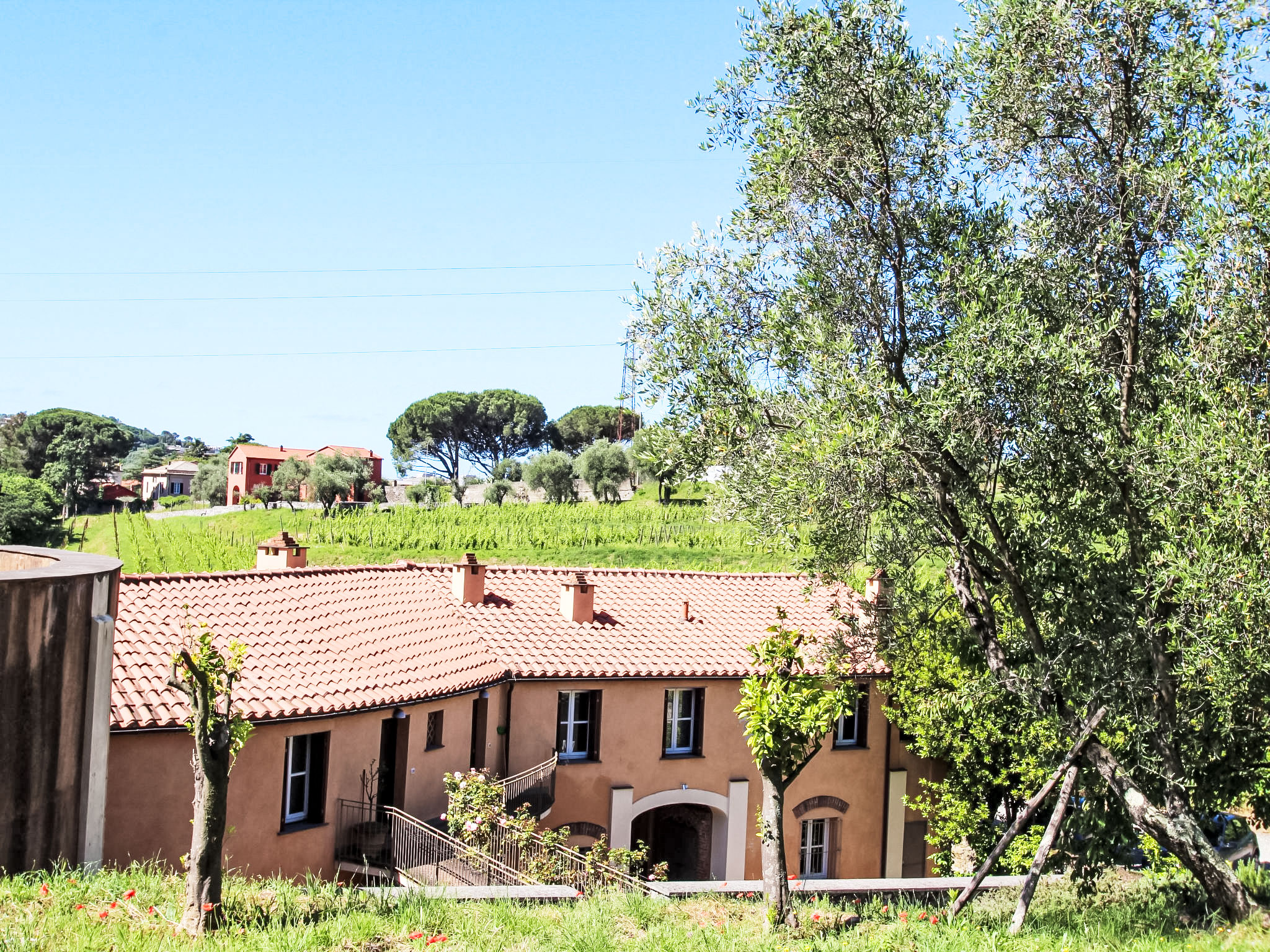 Photo of Casa del Gemmo