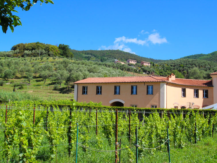 Rosetta Apartment in Sestri Levante