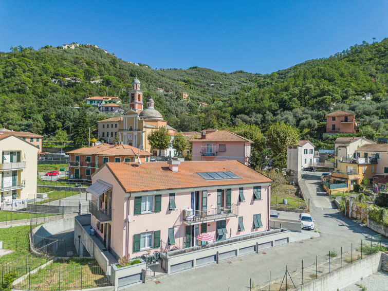 Photo of La Gerbera