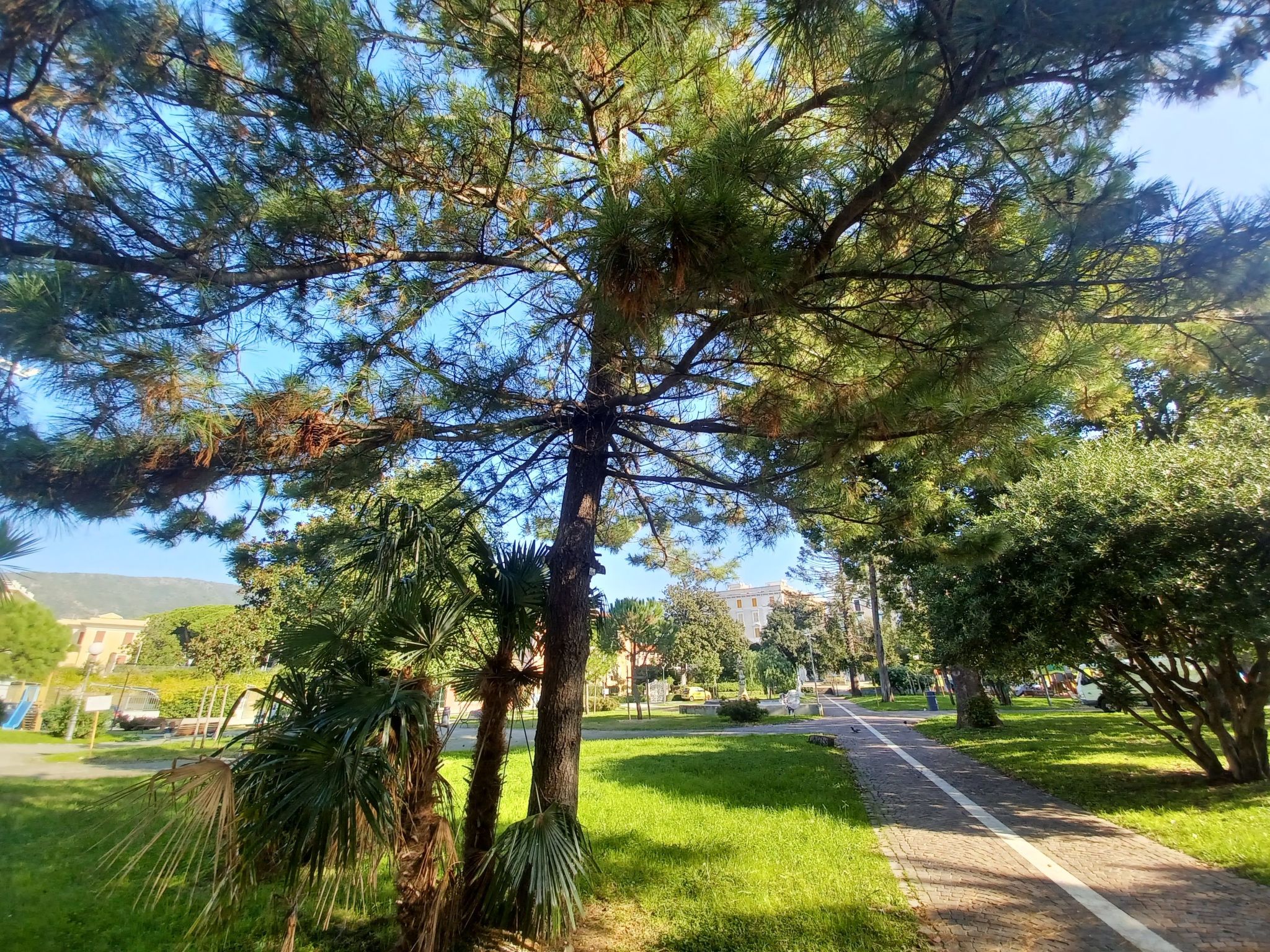 House Holiday Sea by Holiday World-Buiten