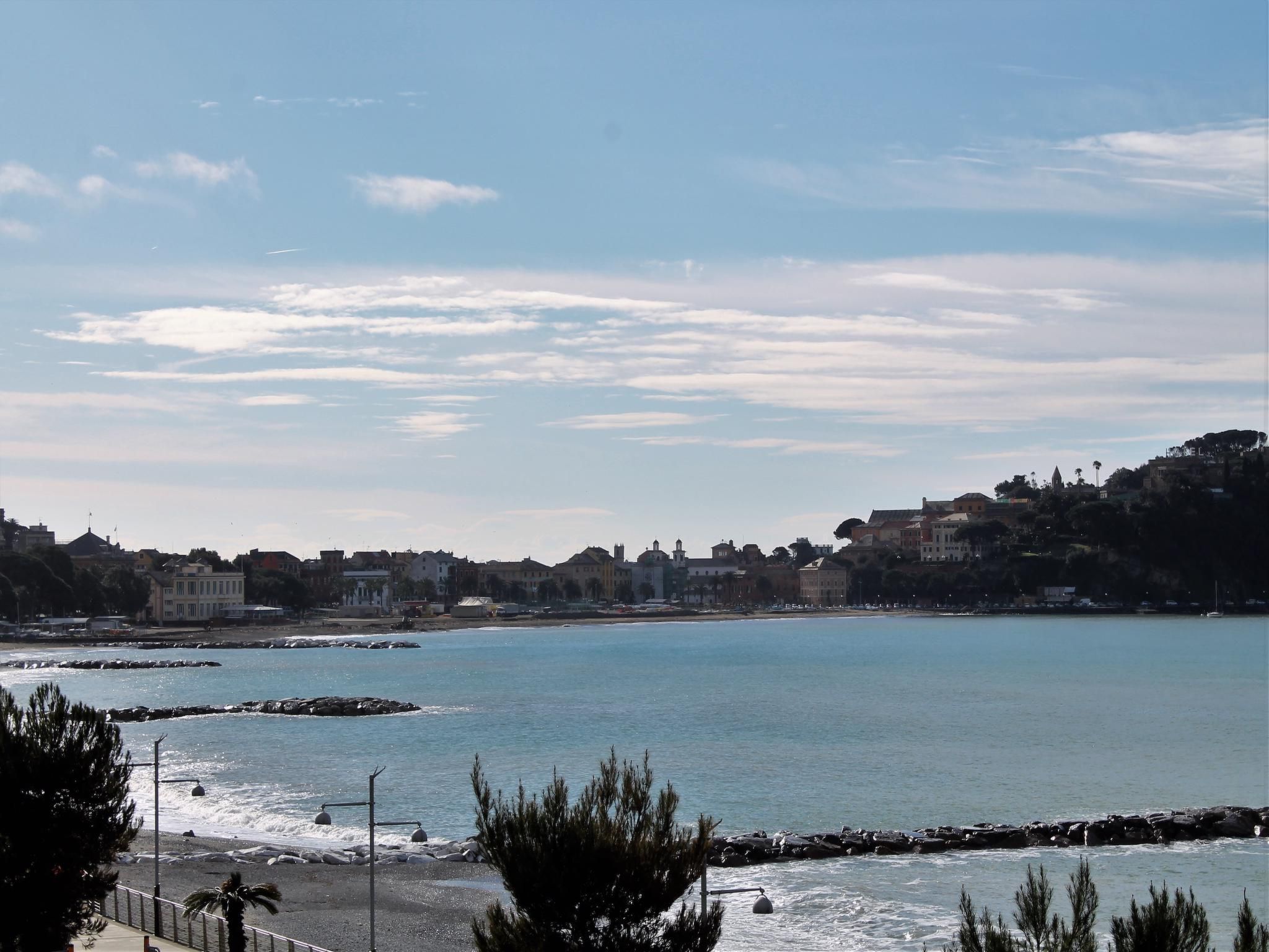 ILA3903 La Casa Del Merlo