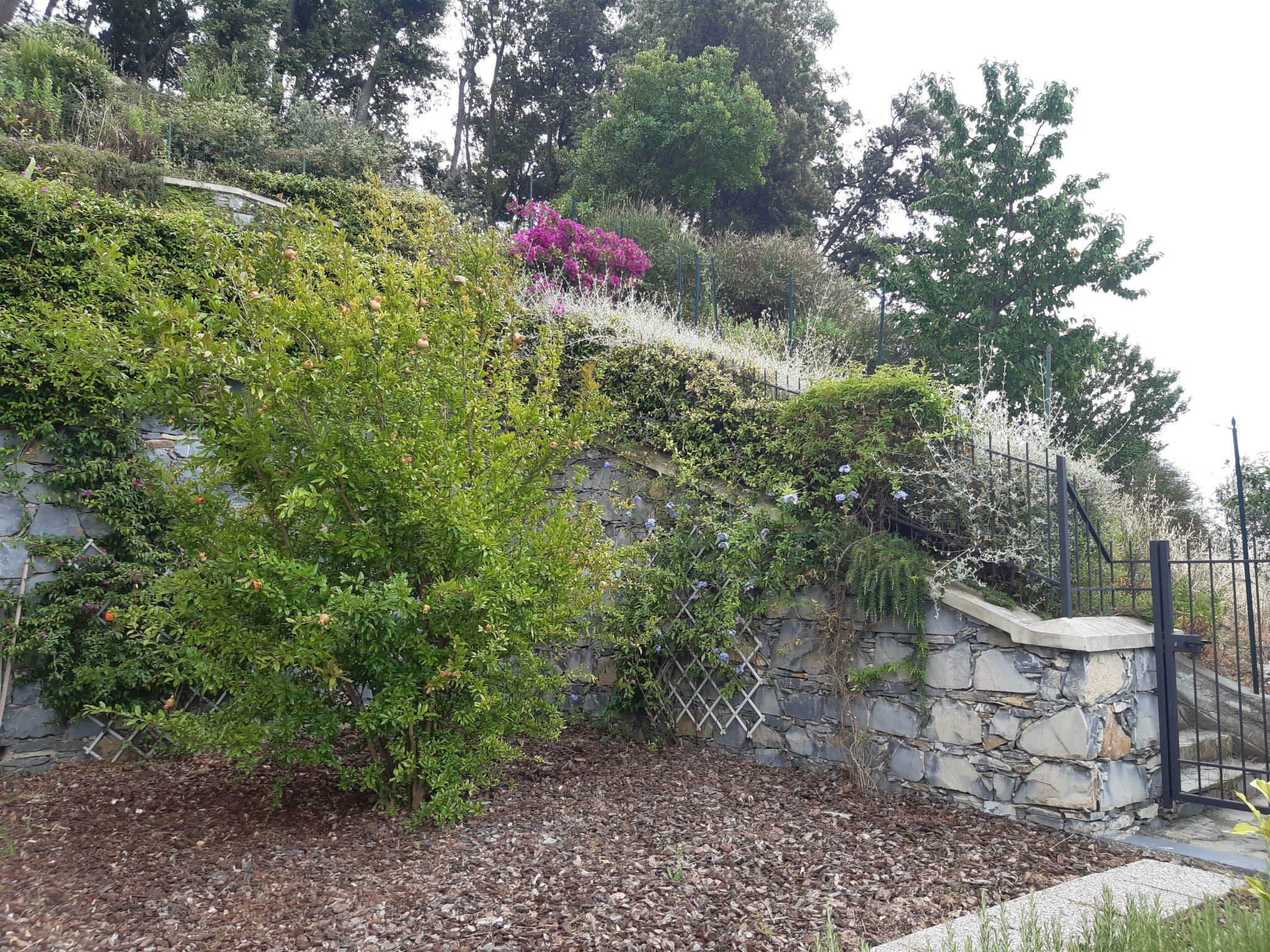 Photo of für 4 Personen ca. 50 m&sup2; in Sestri Levante, Norditalien (Ligurien)