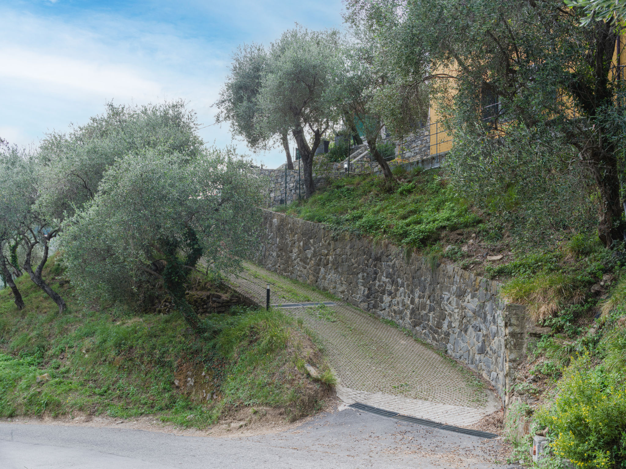 Green Haven - Dehors
